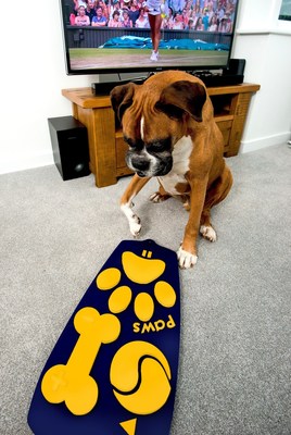 Are you Barking Mad? First TV Remote for Dogs is Created