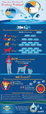Summer Loving…Owners Put Pets First but Lack Basic Knowledge About Their Hydration