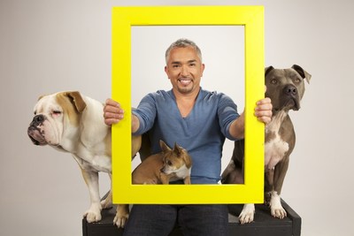 HITN-TV new programing for September will include series with the popular 'dog whisperer', Cesar Millan