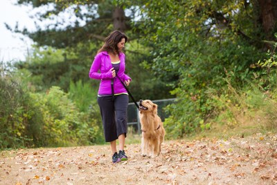 Walking the Dog Helps Keep Owners Healthy and Neighborhoods Feeling Safe