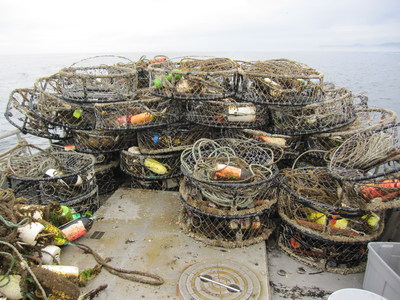 Derelict fishing gear removed from Washington state waters. (photo credit: Natural Resources Consultants)