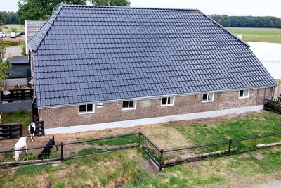 Compañía holandesa por delante de Tesla con el desarrollo de tejas solares