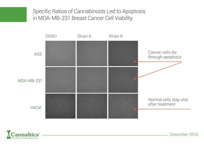 Cancer HTS research indicates that specific ratios of Cannabinoids led to Apoptosis in MDA-MB-231 Breast Cancer cell viability