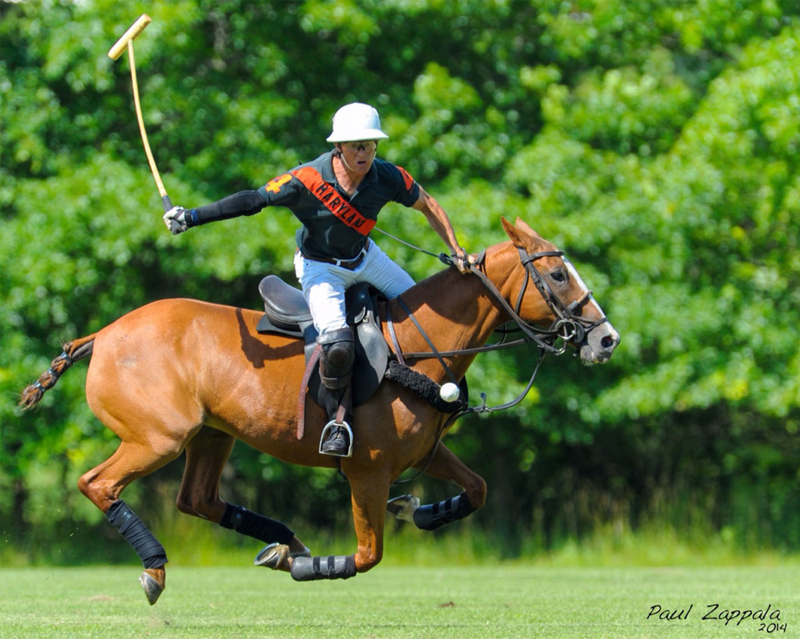 BG Polo & Equestrian Center Signs Deal with Max Secunda to Launch Vero ...