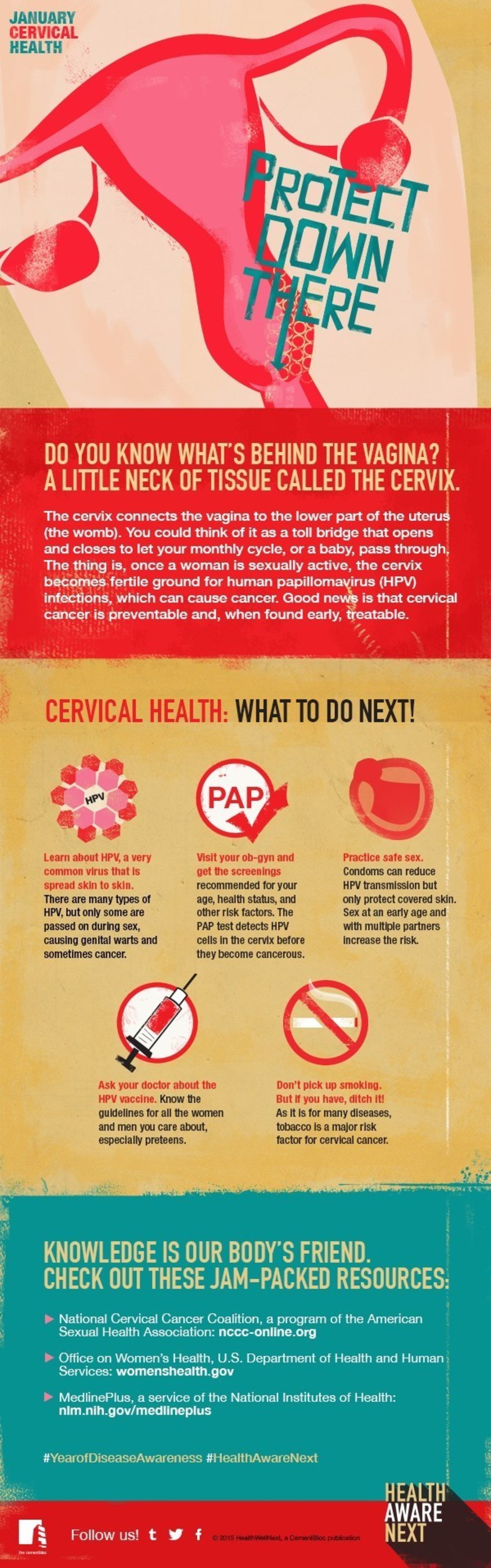 This Cervical Health poster is the first in an infographic series for HealthAwareNext's Year of Disease Awareness, a social media initiative that began in January.
