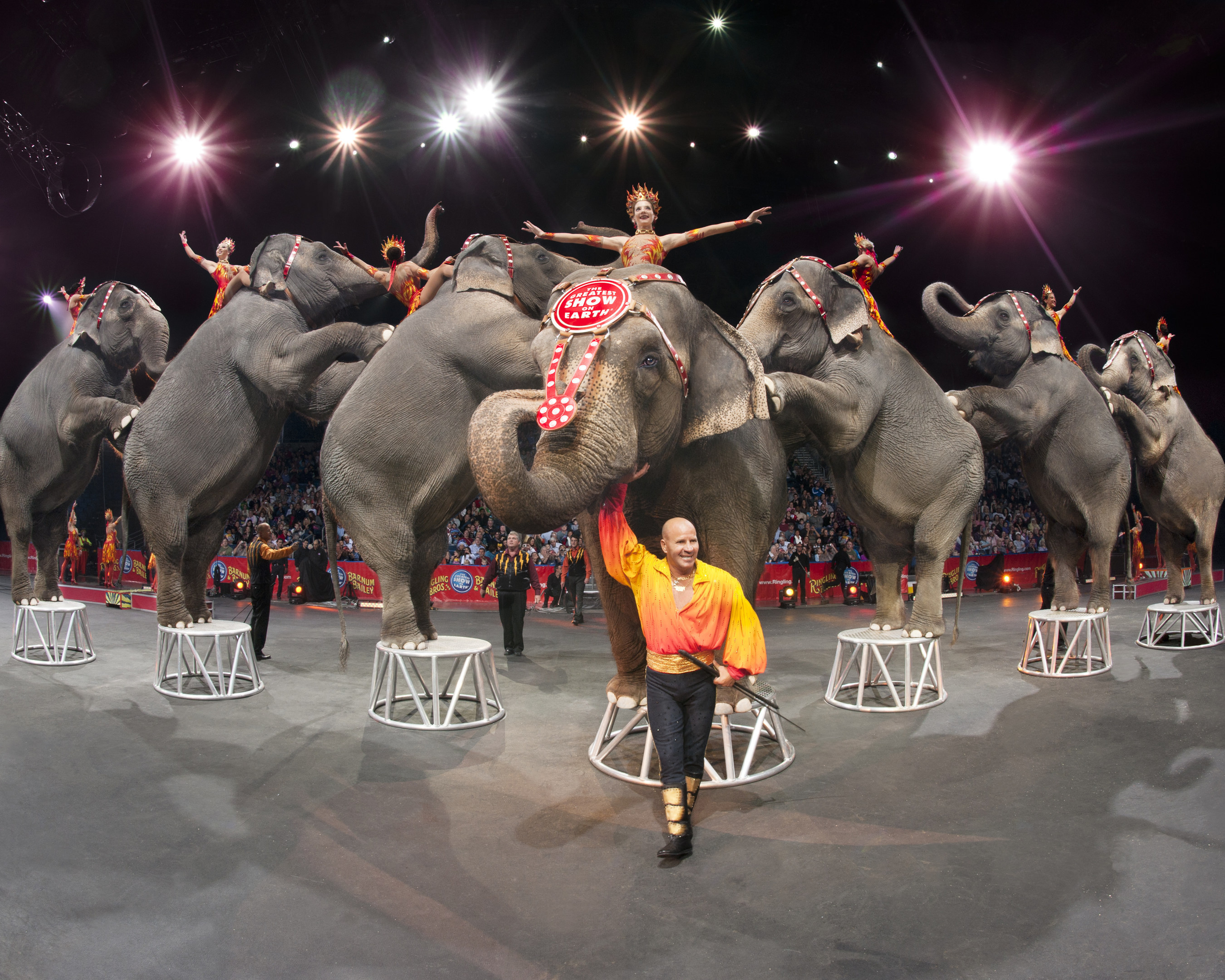 Ringling Bros. Producers Search for an Amazing and Memorable Modern Anthem To Proudly Promote The Greatest Show On Earth(R)