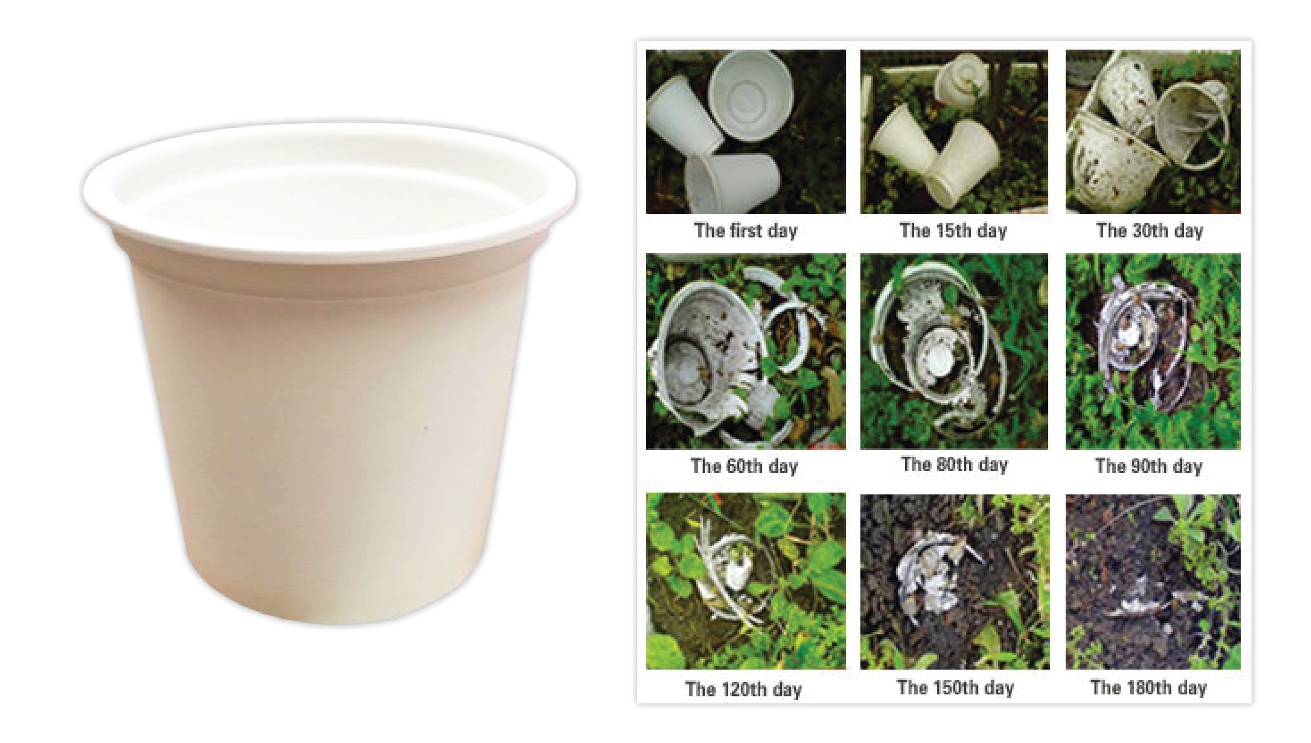White Coffee Corporation's latest development, BioCup(TM) is the first to capture the ecological niche for biodegradable pods. BioCup(TM) is both compostable and biodegradable with 90% degradation after six months.