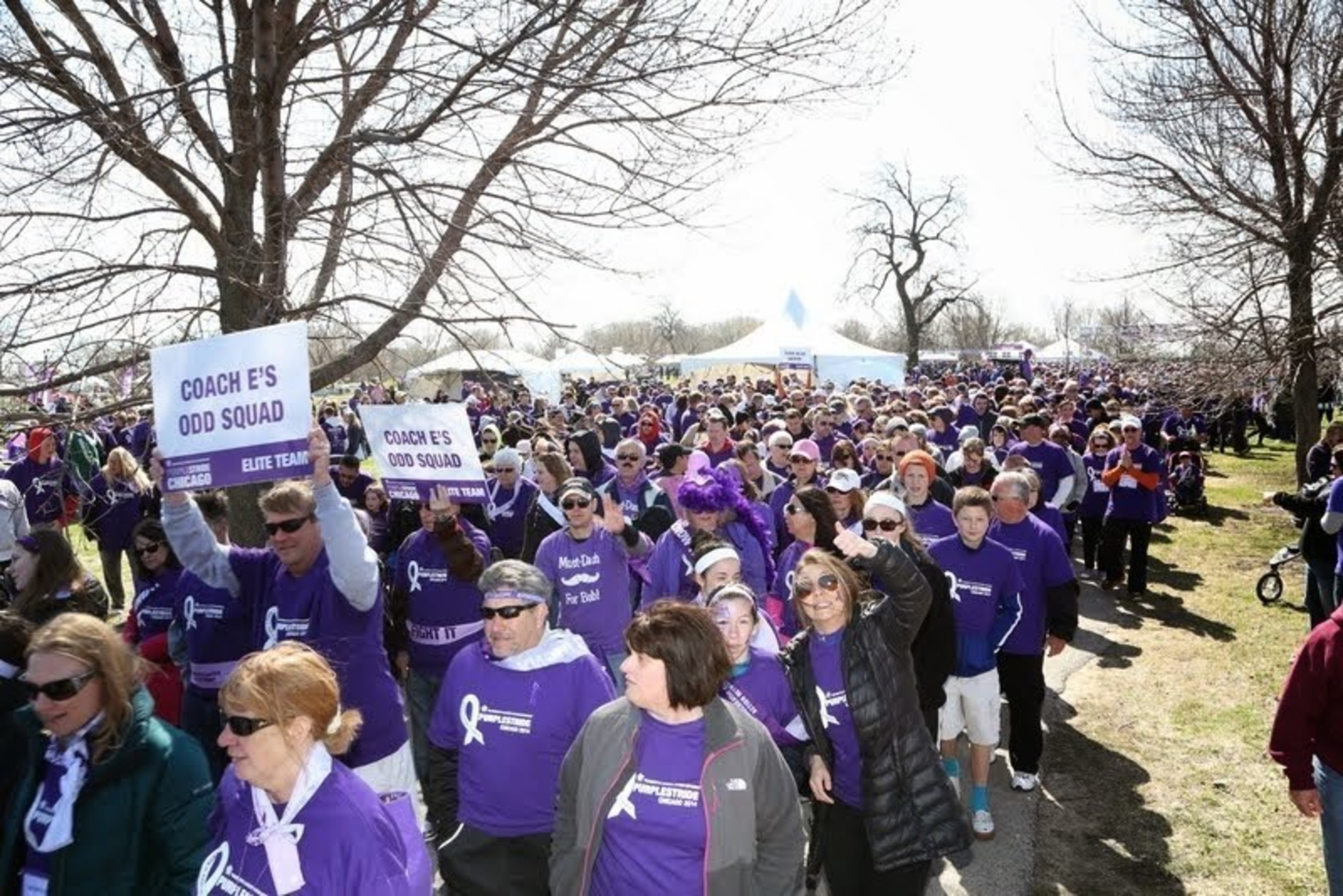 Participants make stride at PurpleStride Chicago 2014
