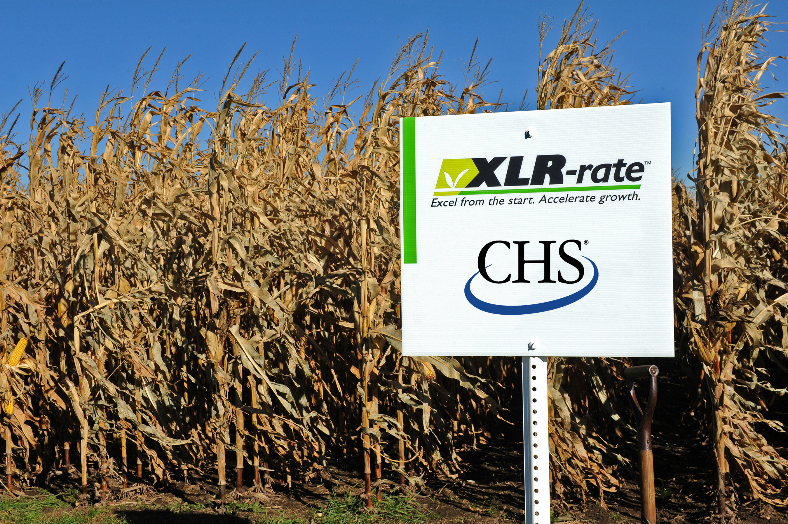 Midwestern test plot trials of CHS XLR-rate(R) starter fertilizer resulted in yield increases of 8- to 14- bushels per acre versus no starter. Starter fertilizer provides the biggest benefits when growers are planting in cold, wet springs, during early or late planting, when soil phosphorus levels are low, and when plants suffer from significant stress such as heat or drought stress.