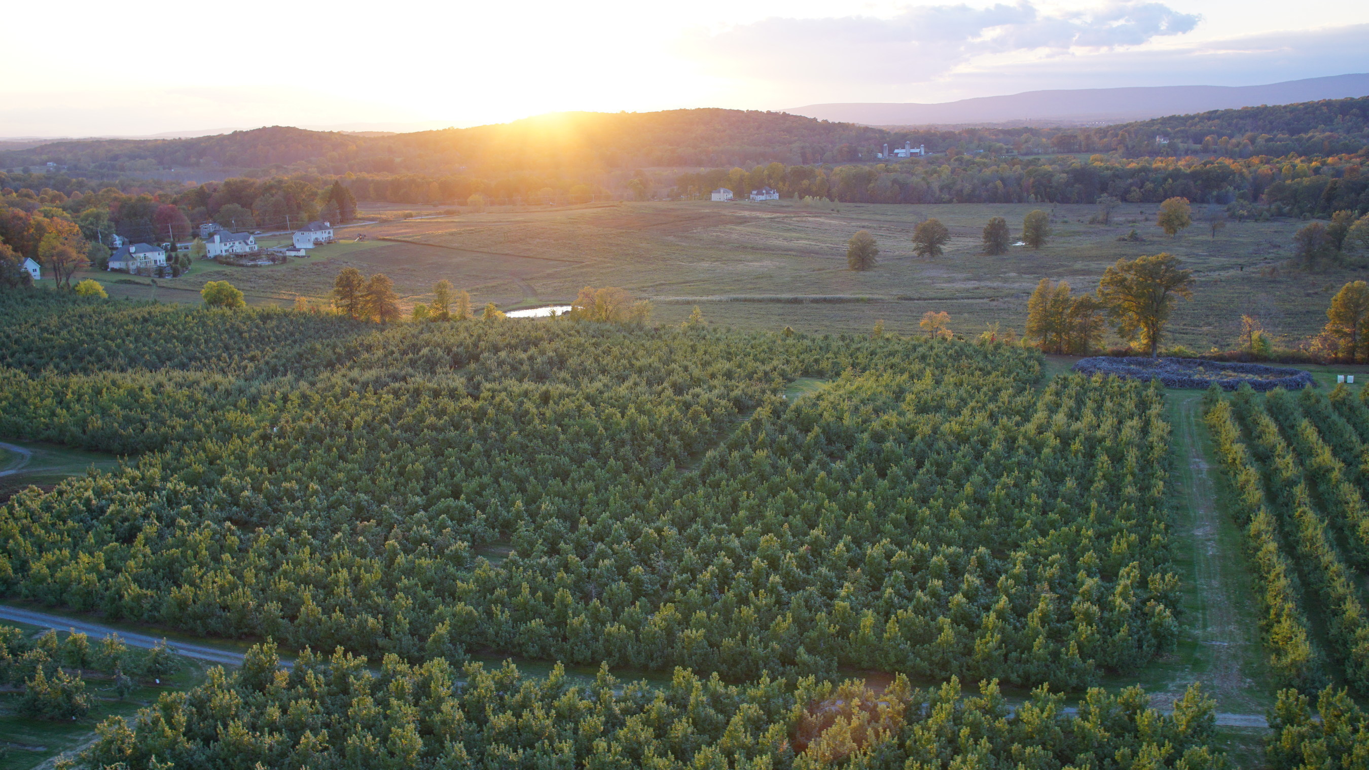 Angry Orchard's planned new home for hard cider research and development in Walden, New York