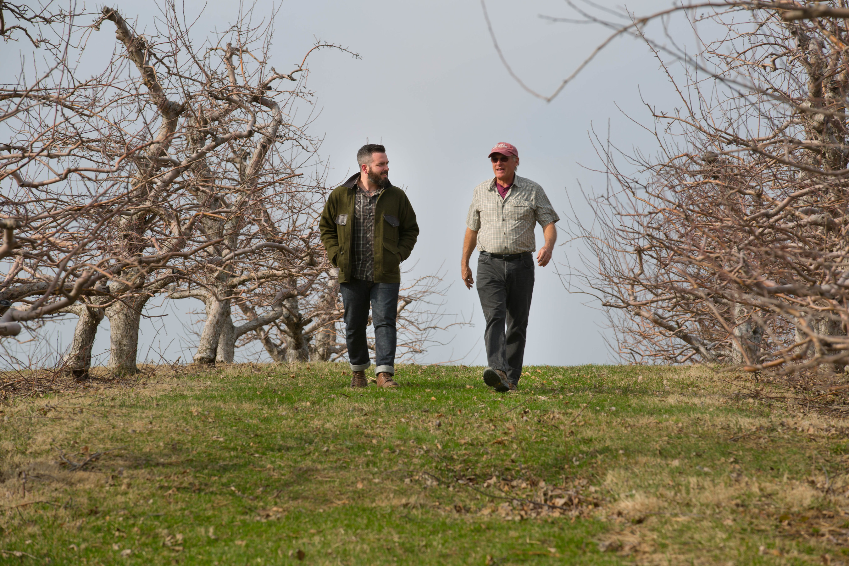 Angry Orchard Cider Maker Ryan Burk and Apple Grower Jeff Crist examining the orchard grounds at the beginning of this year's apple growing season