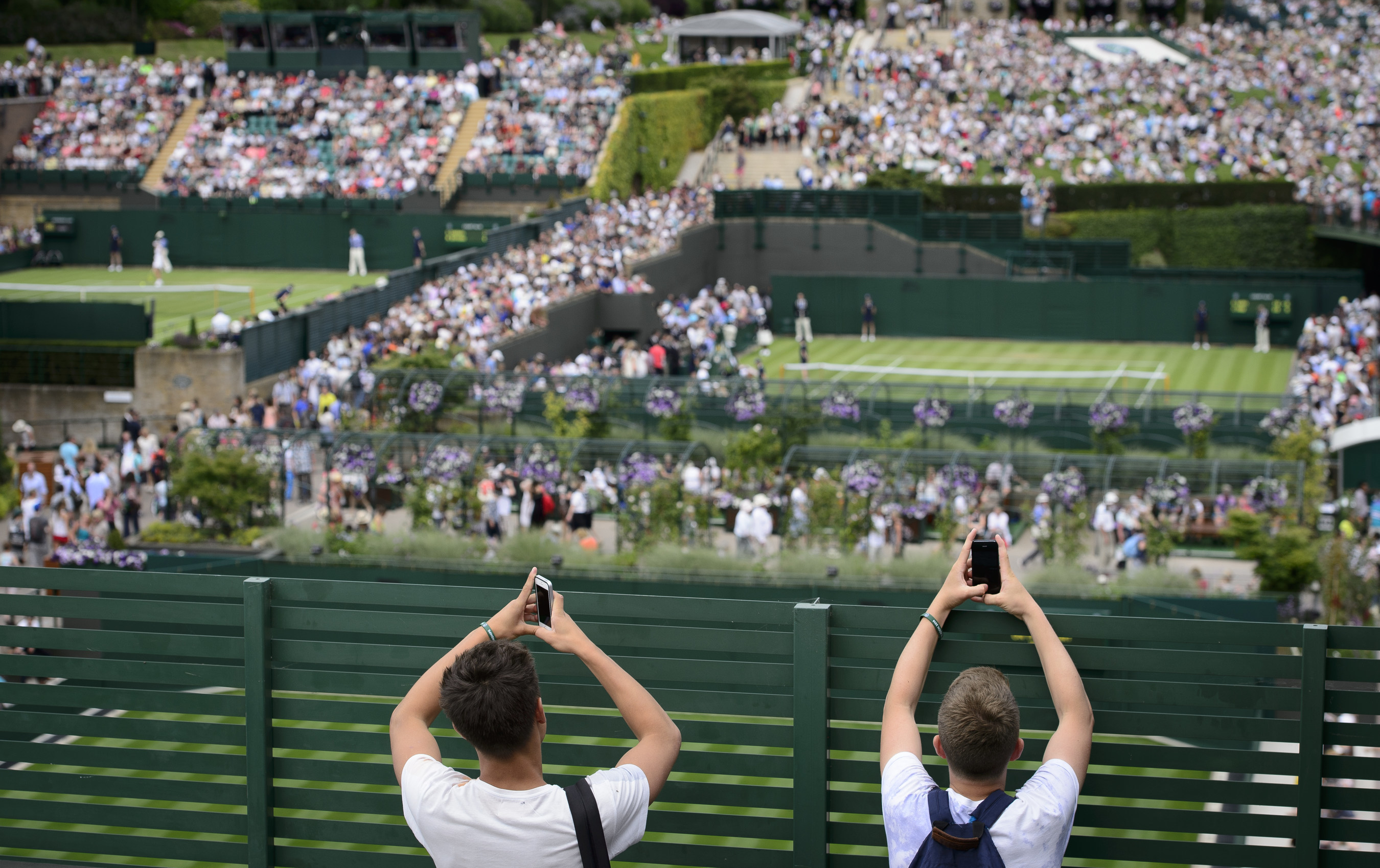 Fans taking photographs with mobile phones. (Credit: The Championships Wimbledon 2014 - The All England Lawn Tennis and Croquet Club)