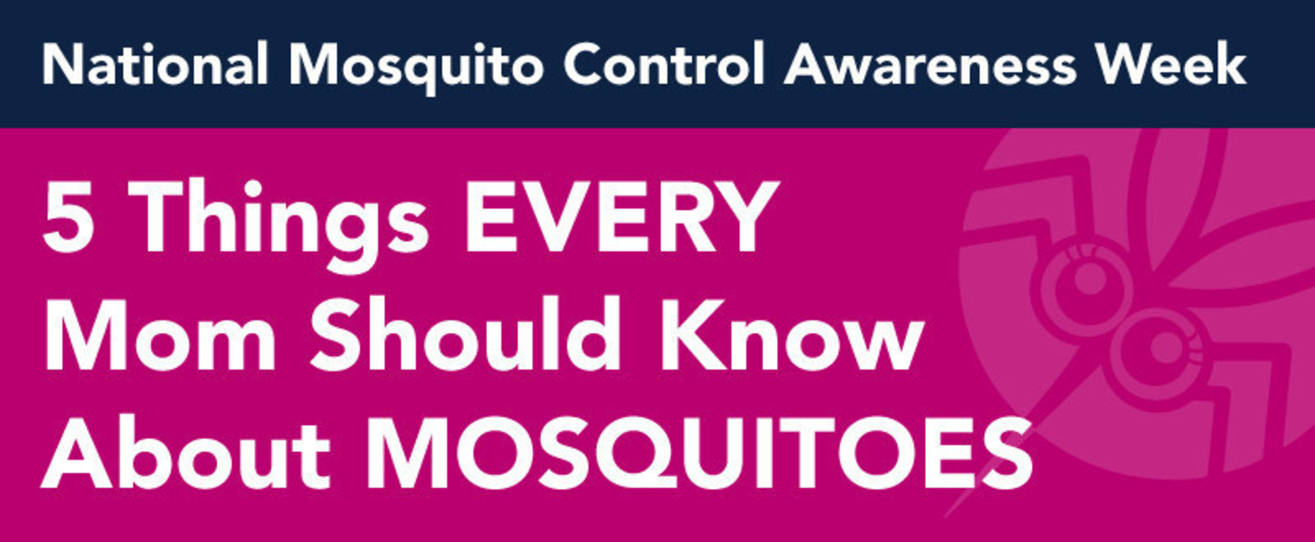 Mosquitoes don't just make you itch. Visit BugsBITE.com/moms to download a free Mosquito Awareness Guide from Mosquito Authority.