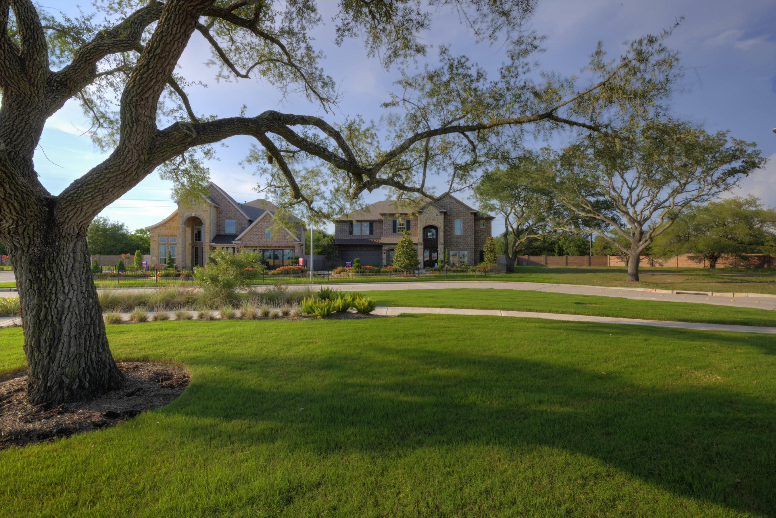 Houston home builder Taylor Morrison and land developer Johnson Development Services have worked to save a stately stand of live oak trees dating back more than 50 years in Fort Bend County.