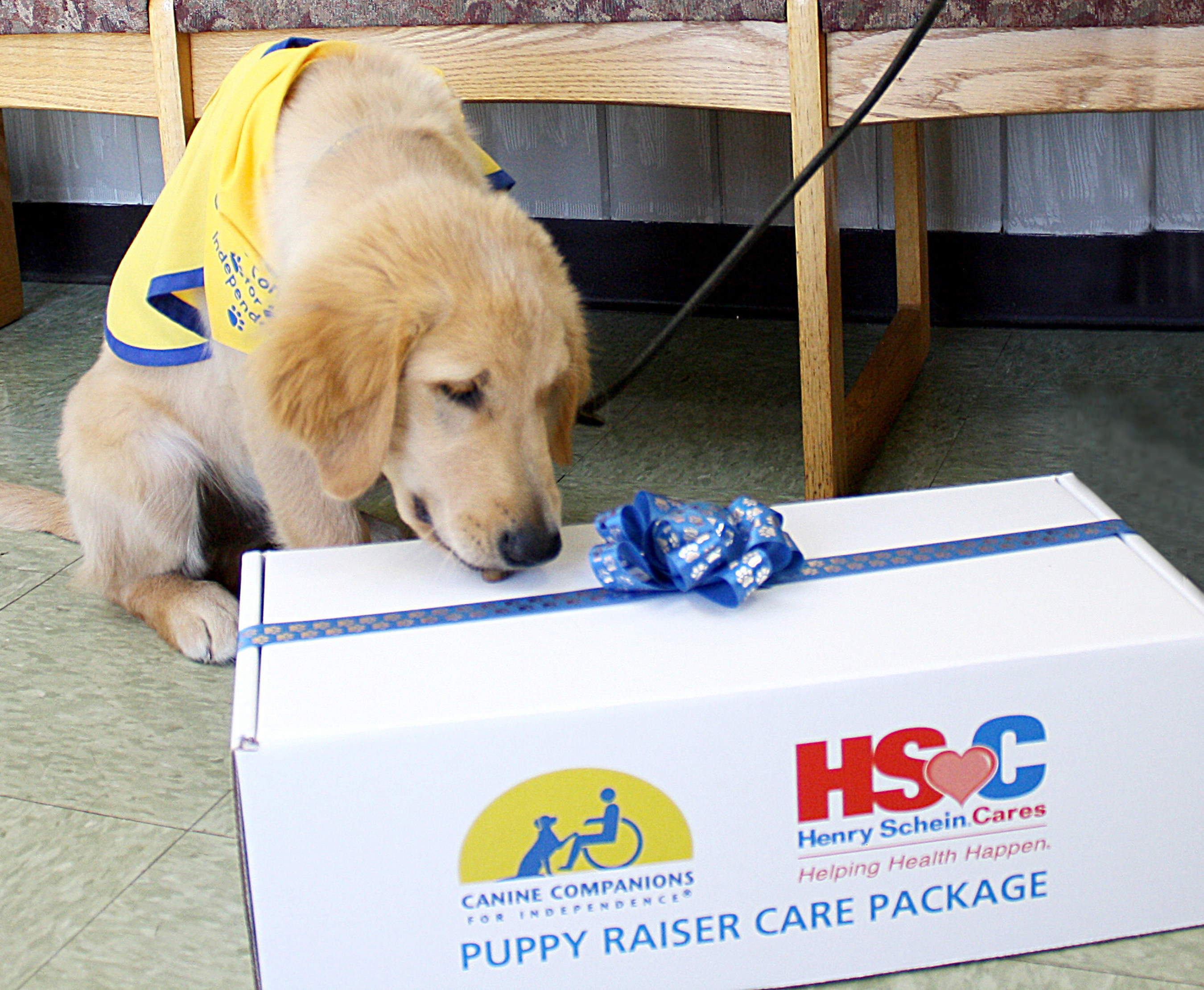 Henry Schein Cares-Canine Companions Puppy Raiser Care Packages began shipping to veterinarians and volunteer puppy raisers who care for puppies in the first 18 months of life. The care packages, filled with essential products, will help defray costs for veterinarians and puppy raisers as they prepare the puppies to become assistance dogs for those in need.