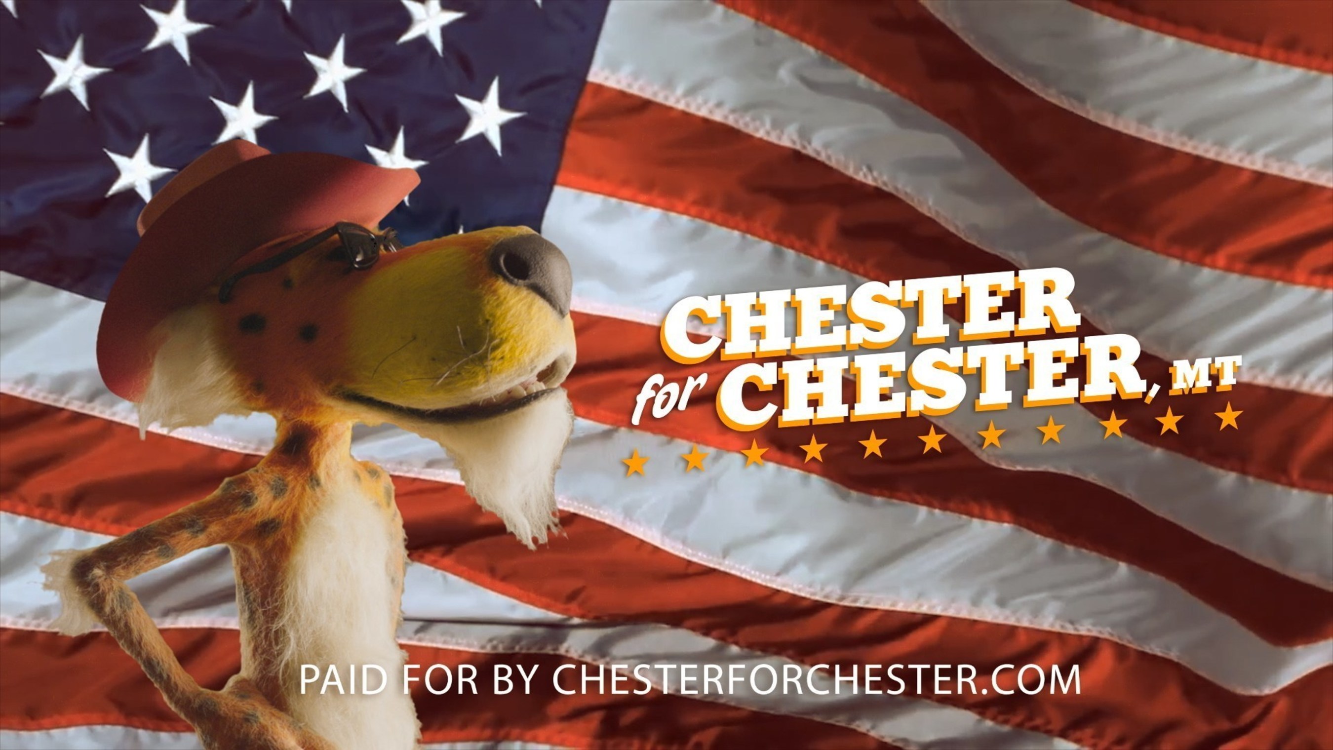 Chester Cheetah, the official spokes-cheetah of the Cheetos brand, is trying his paw at politics by campaigning for mayor of Chester, Mont.