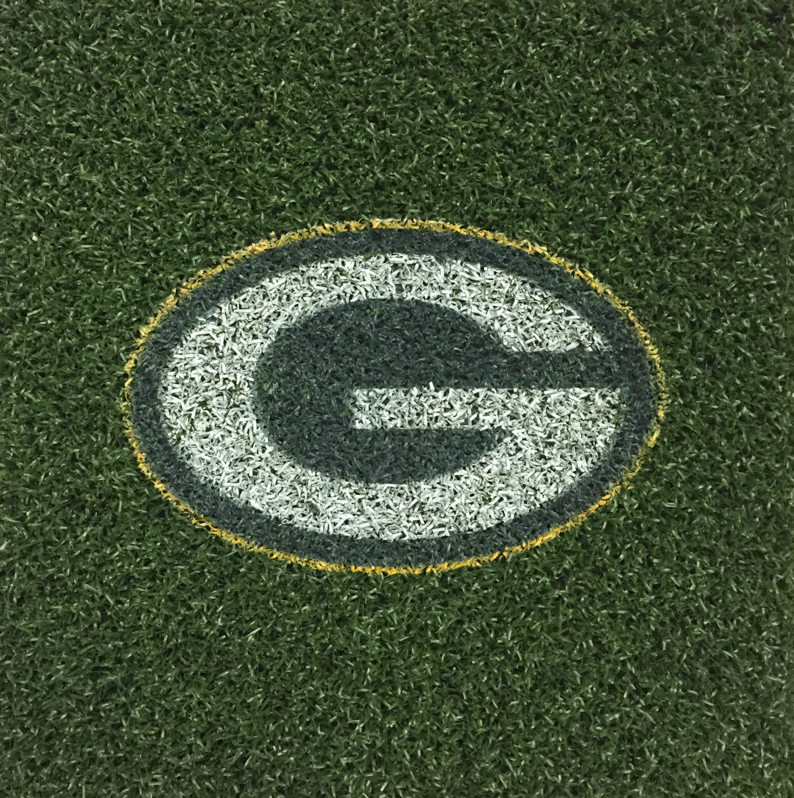 The turf pieces in Wisconsin are branded with the Green Bay Packers "G" logo.