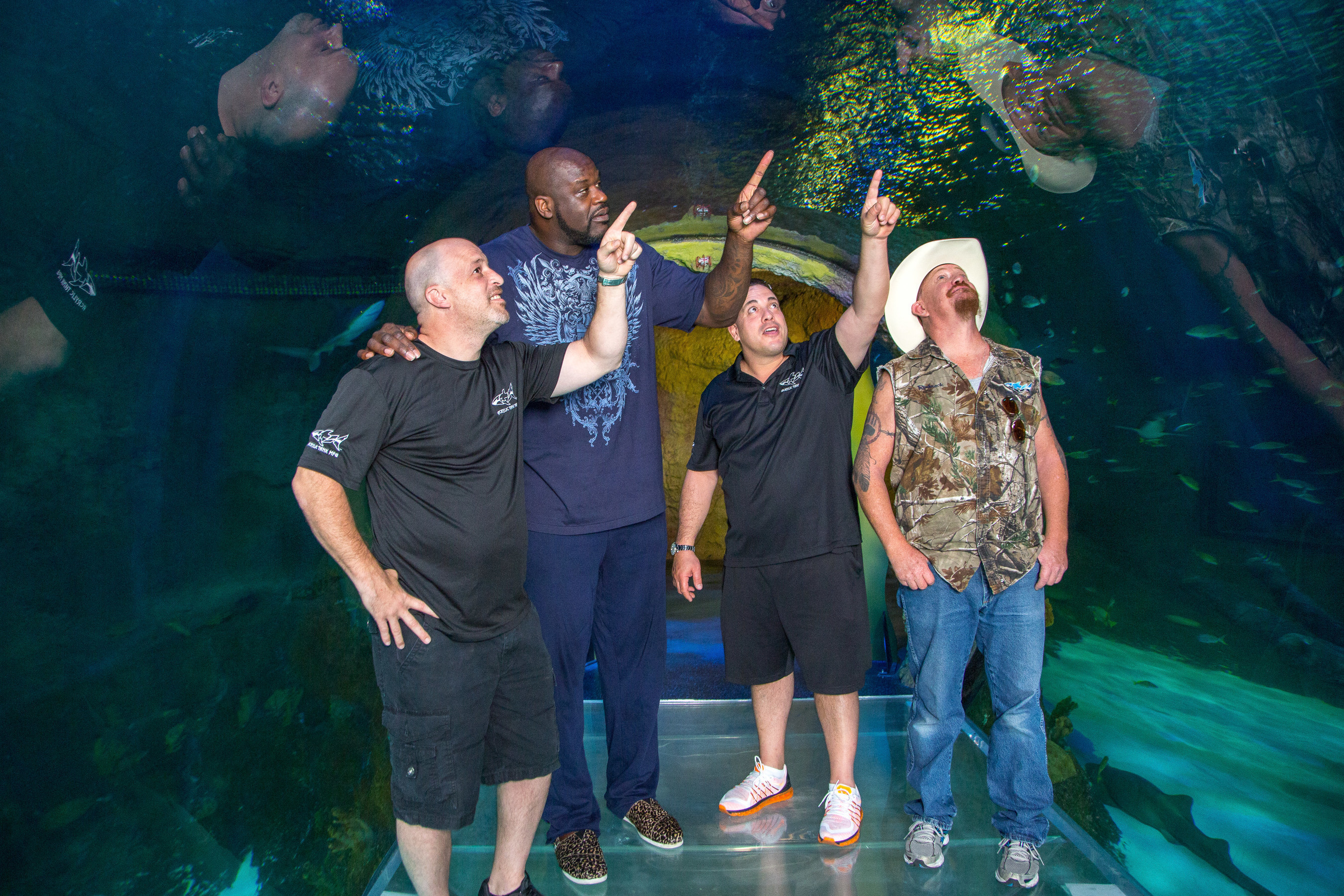 Basketball legend Shaquille O'Neal, and Animal Planet's Tanked stars, Wayde King, Brett Raymer and Redneck, visited SEA LIFE Orlando Aquarium to film the season finale of the hit series. Before finalizing the design for a new tank in Shaq's Orlando home, the group explored SEA LIFE Orlando's 360-degree walkthrough ocean tunnel, Stingray Cove and other habitats to find inspiration within Orlando's newest aquarium. Courtesy of SEA LIFE Orlando Aquarium.