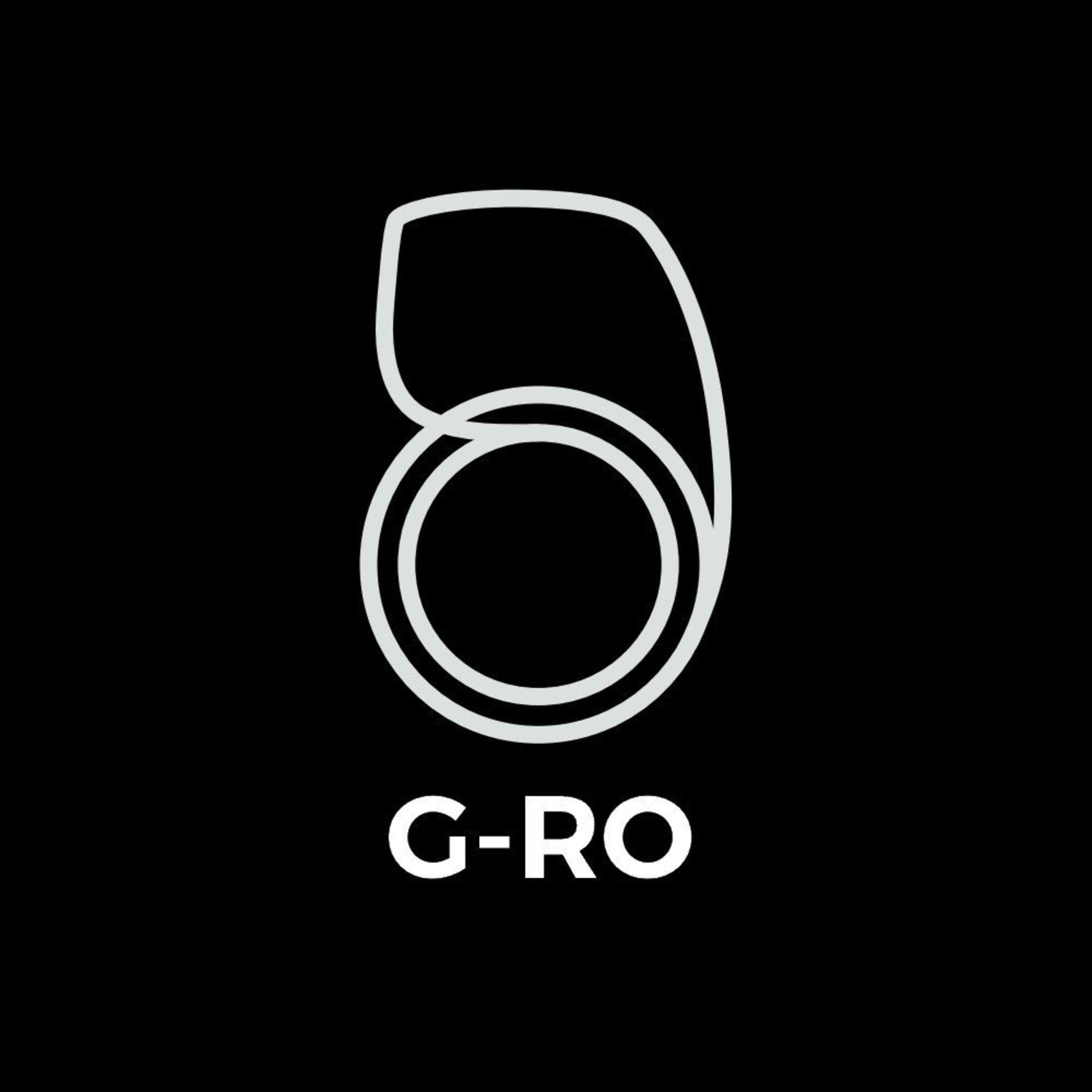 G-RO: Revolutionary Carry-on Luggage