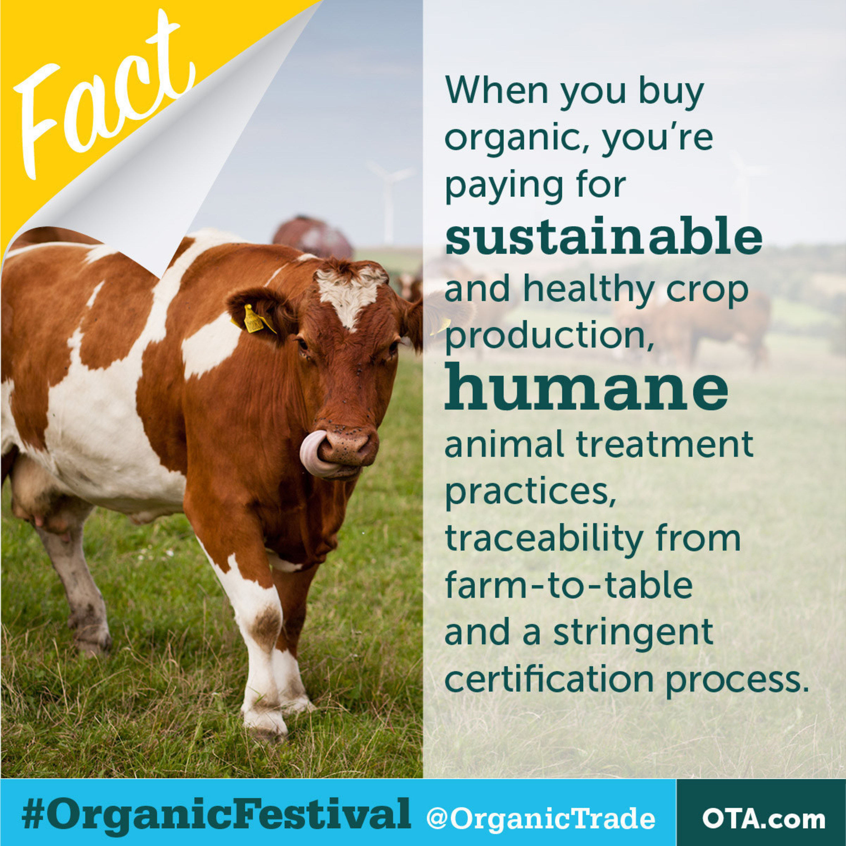 Organic offers many benefits.