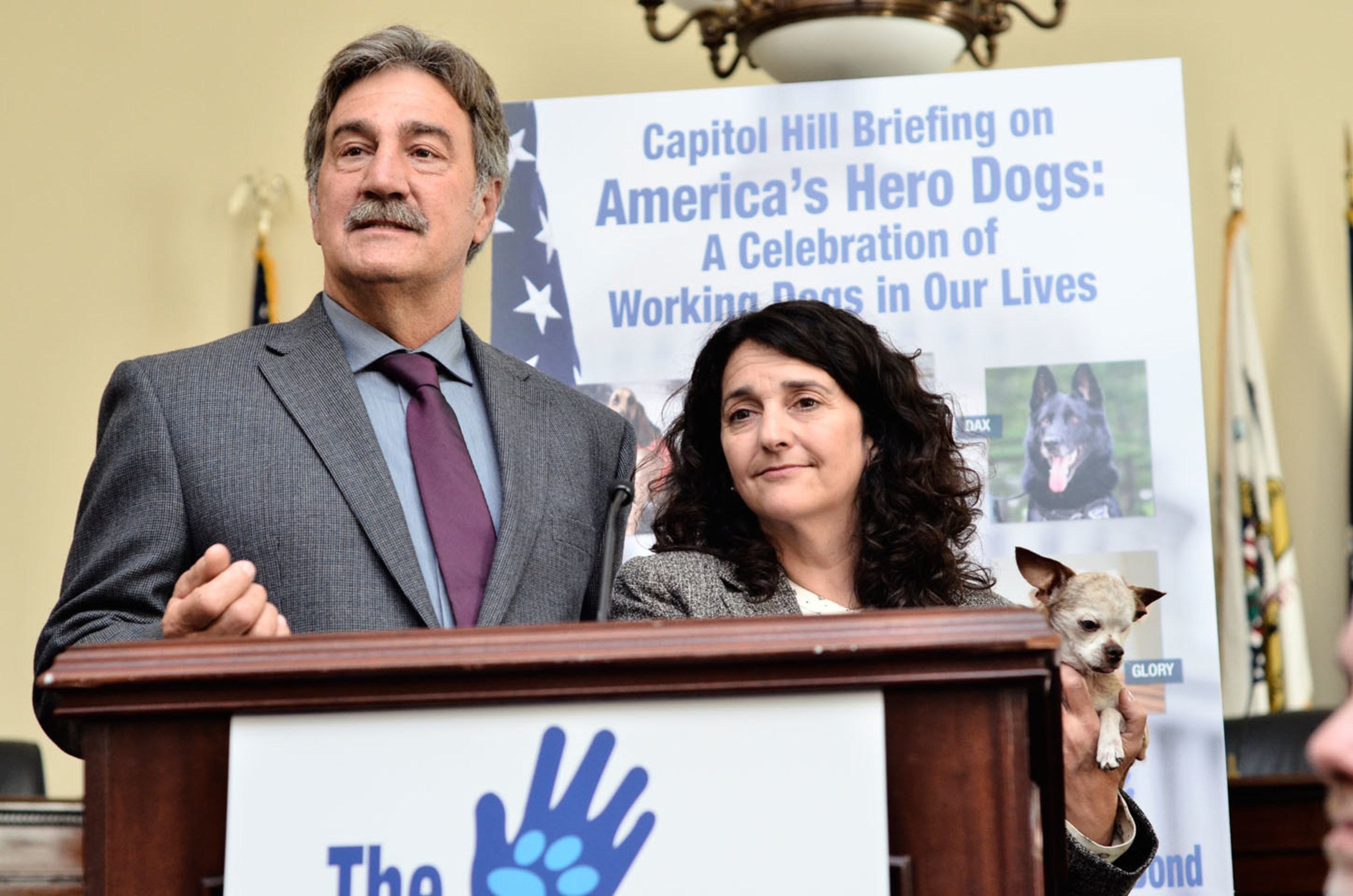 Dan and Rudi Taylor with 2015 American Humane Association Hero Dog Awards winner Harley brief Congress on the life-affirming, life-saving value of our best friends.