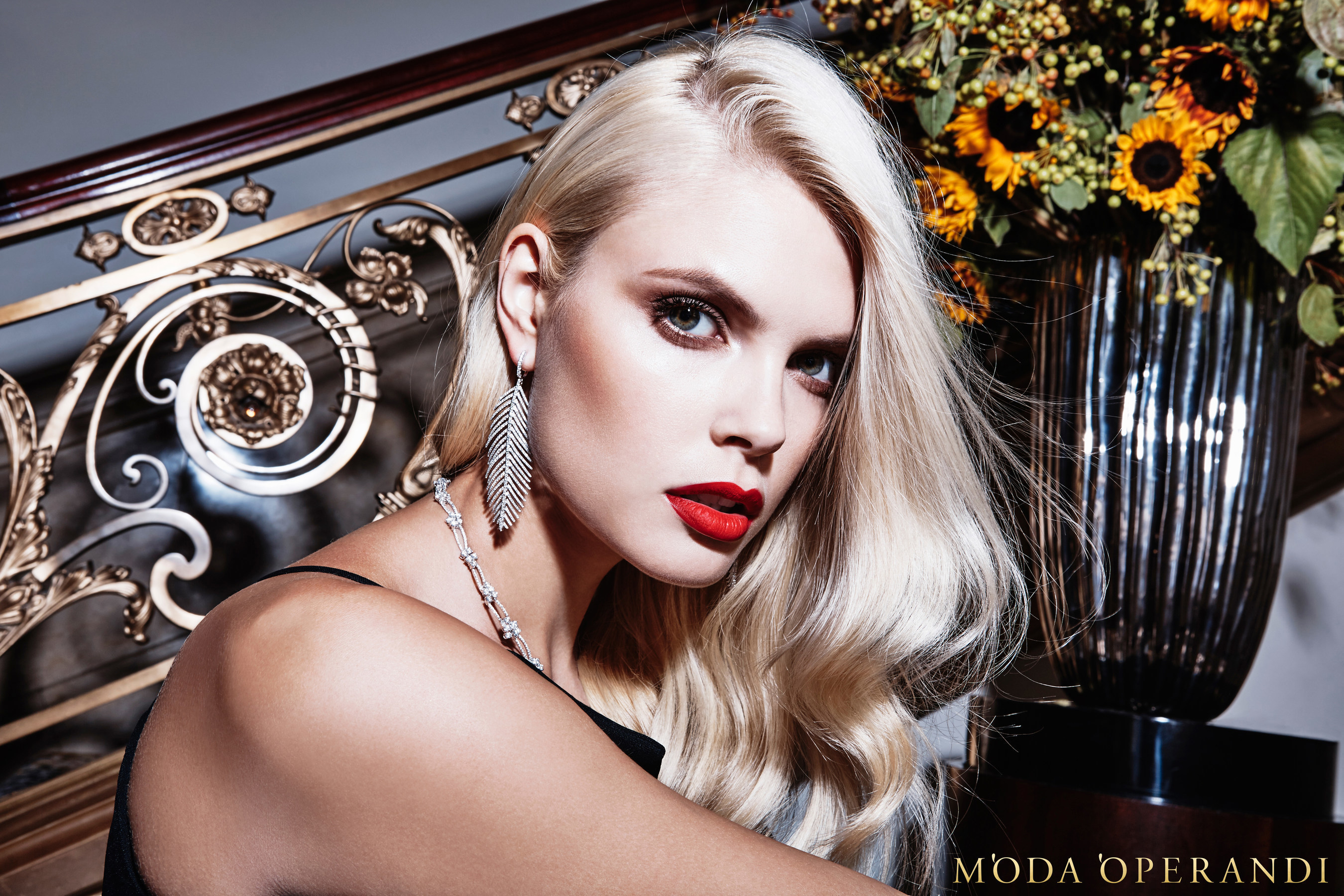 The 2015 Moda Operandi Holiday Collection campaign photographed by Steve Hiett.
