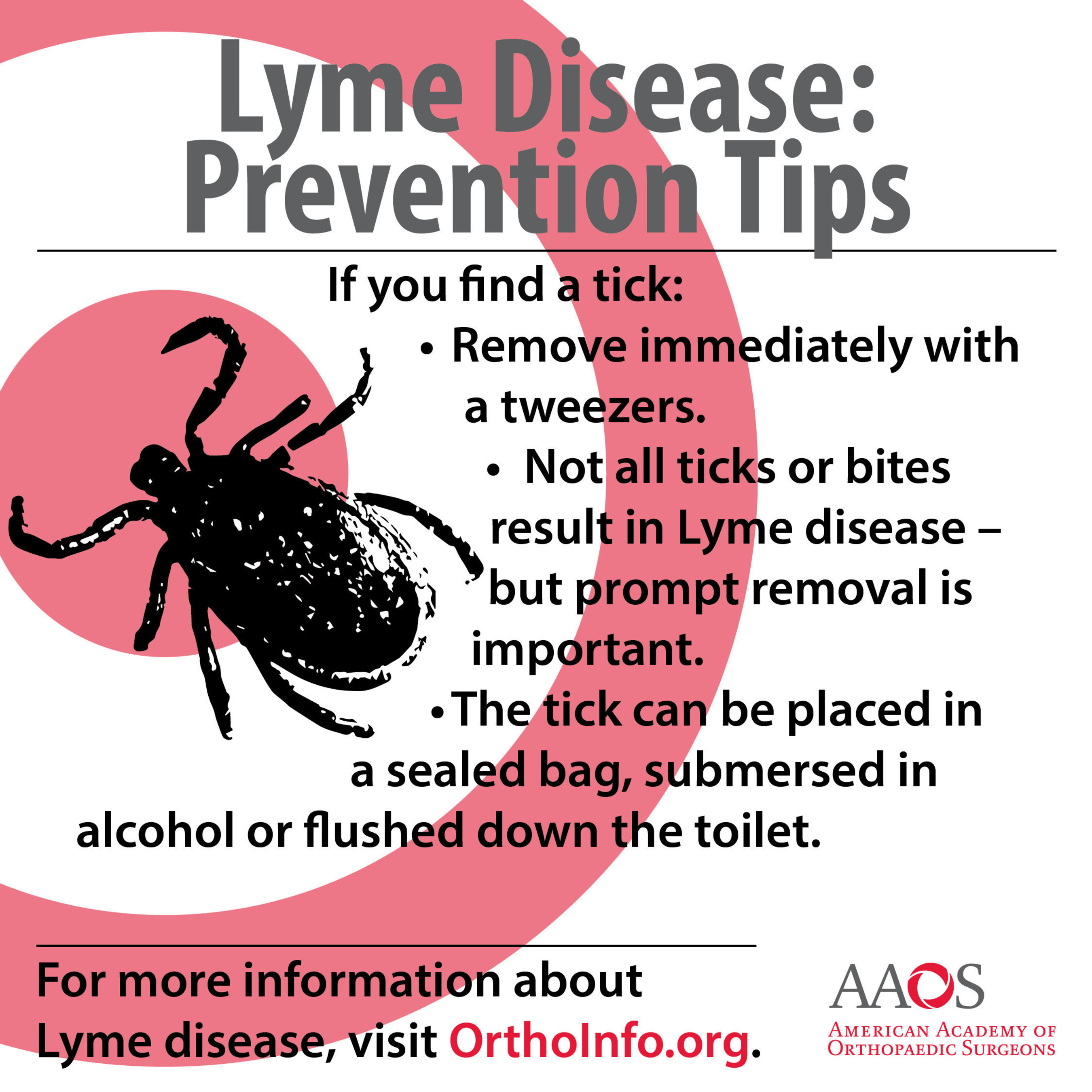 Lyme disease prevention tips