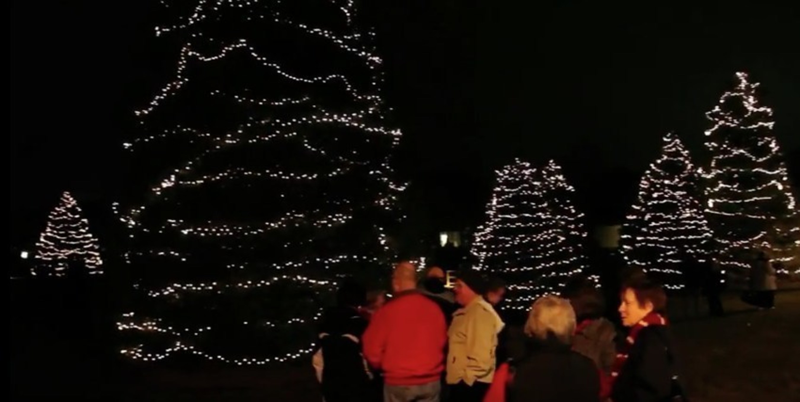Hospice programs across the country host events for the community like this annual Festival of Lights at Hospice & Community Care in Lancaster, Pennsylvania.