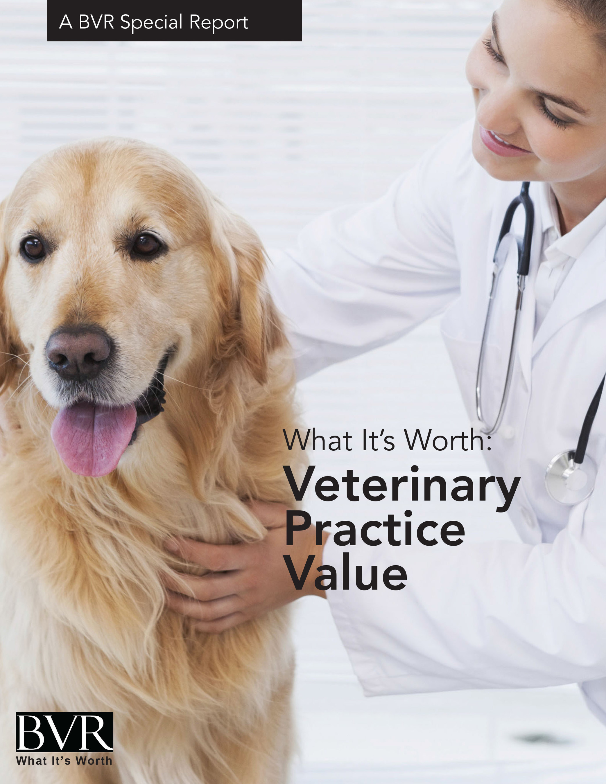 New special report now available: What It's Worth: Veterinary Practice Value