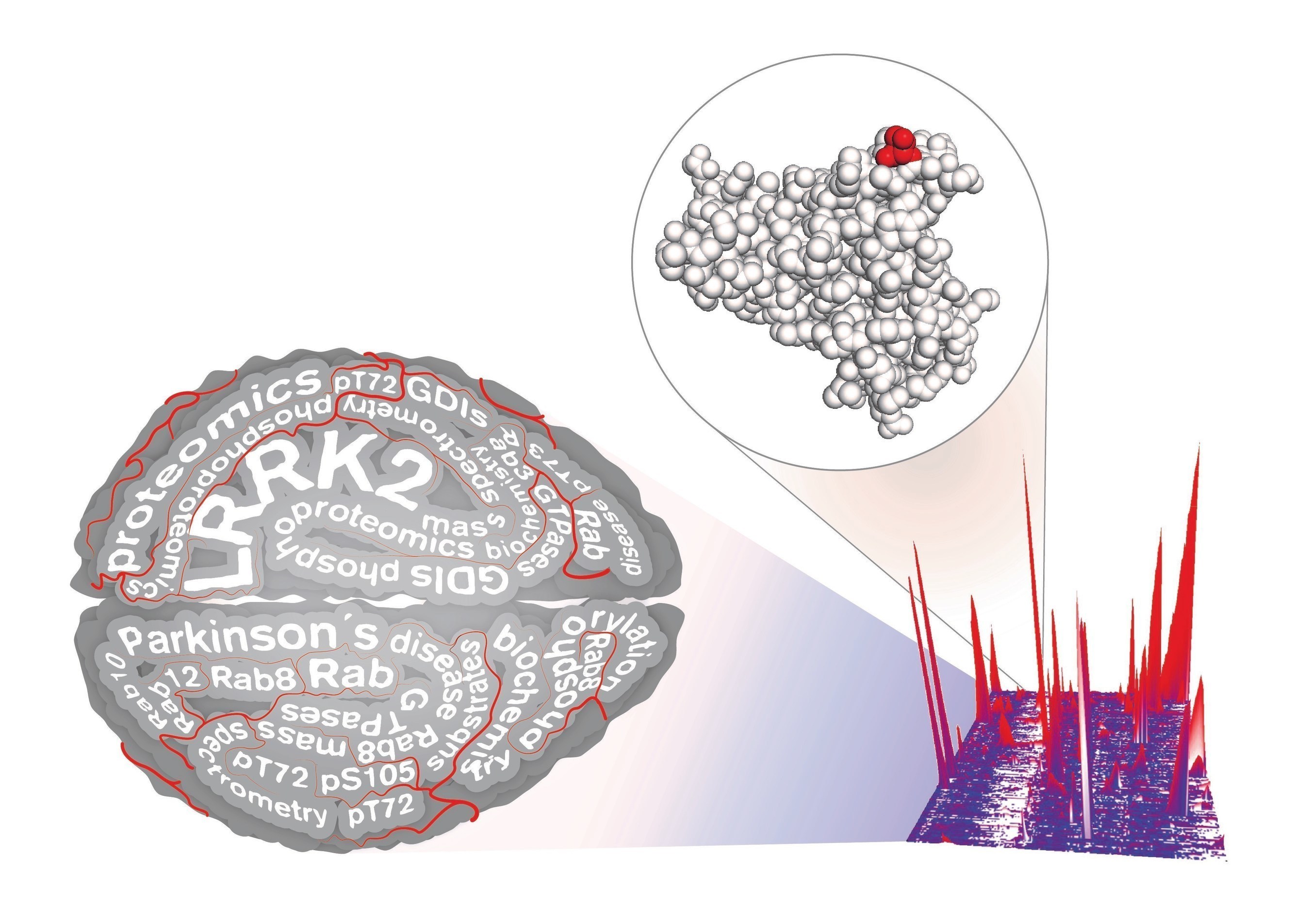 Parkinson's researchers used proteomics to identify Rab proteins as a physiologic substrate of LRRK2, a Parkinson's drug target. This finding may accelerate current research and open a novel therapeutic avenue.