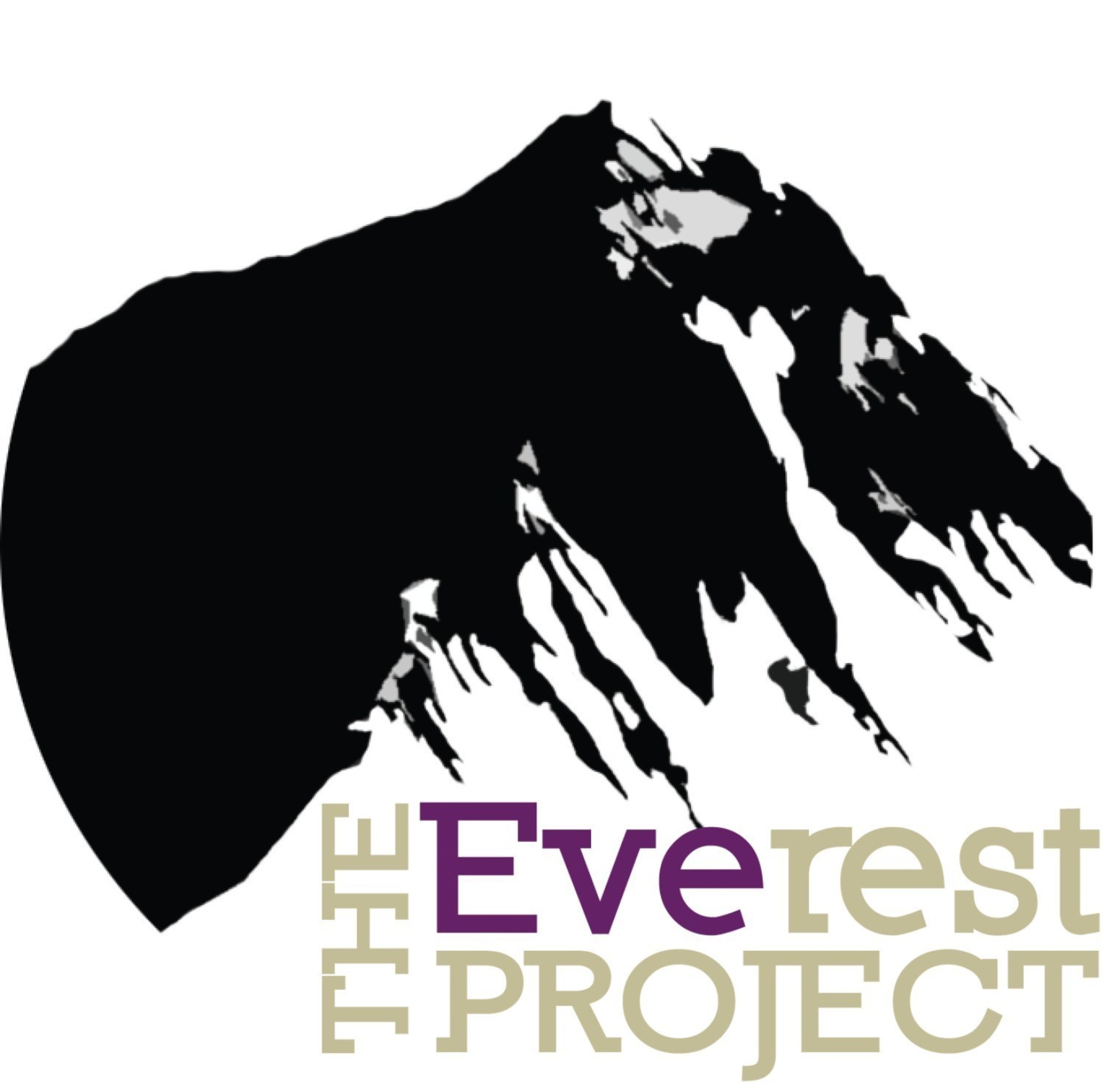 The Everest Project is the first theoretical and practical research initiative to take a multicultural and gender specific perspective in examining the role of women executives in corporate America.