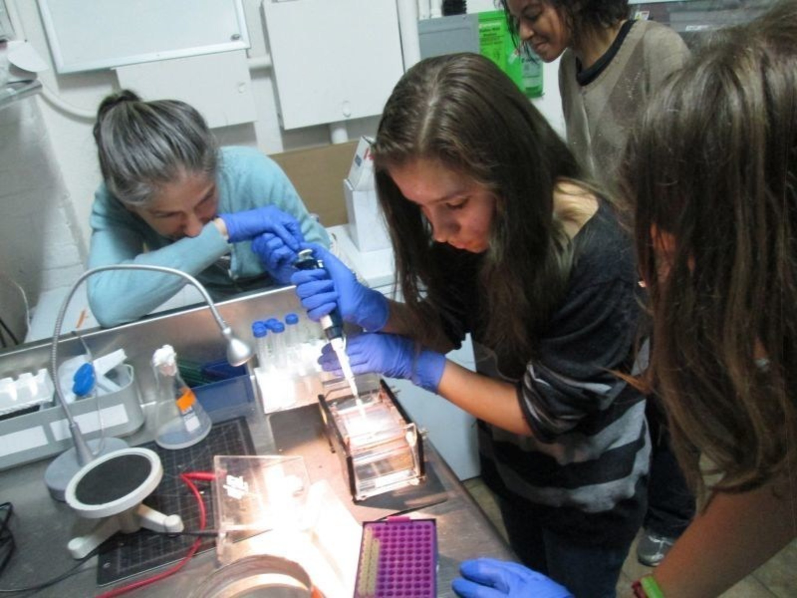 Hands-on biotechnology class at Genspace.
