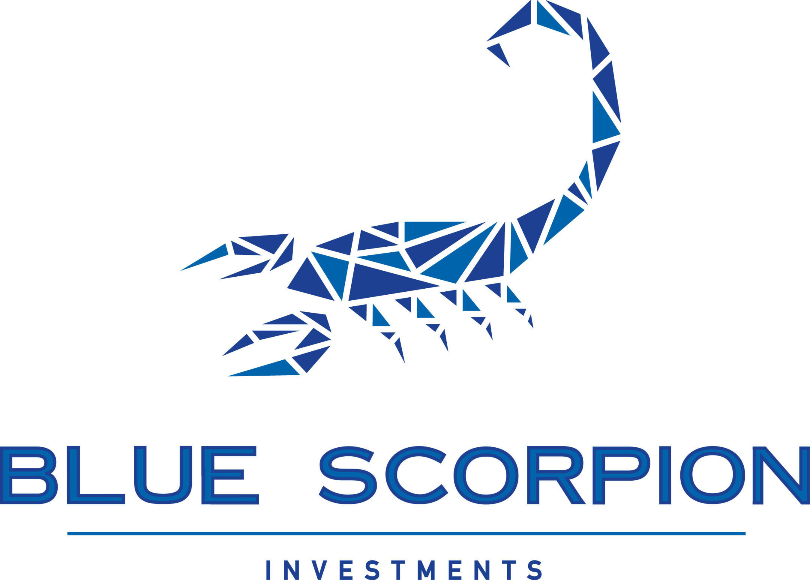 Blue Scorpion Investments