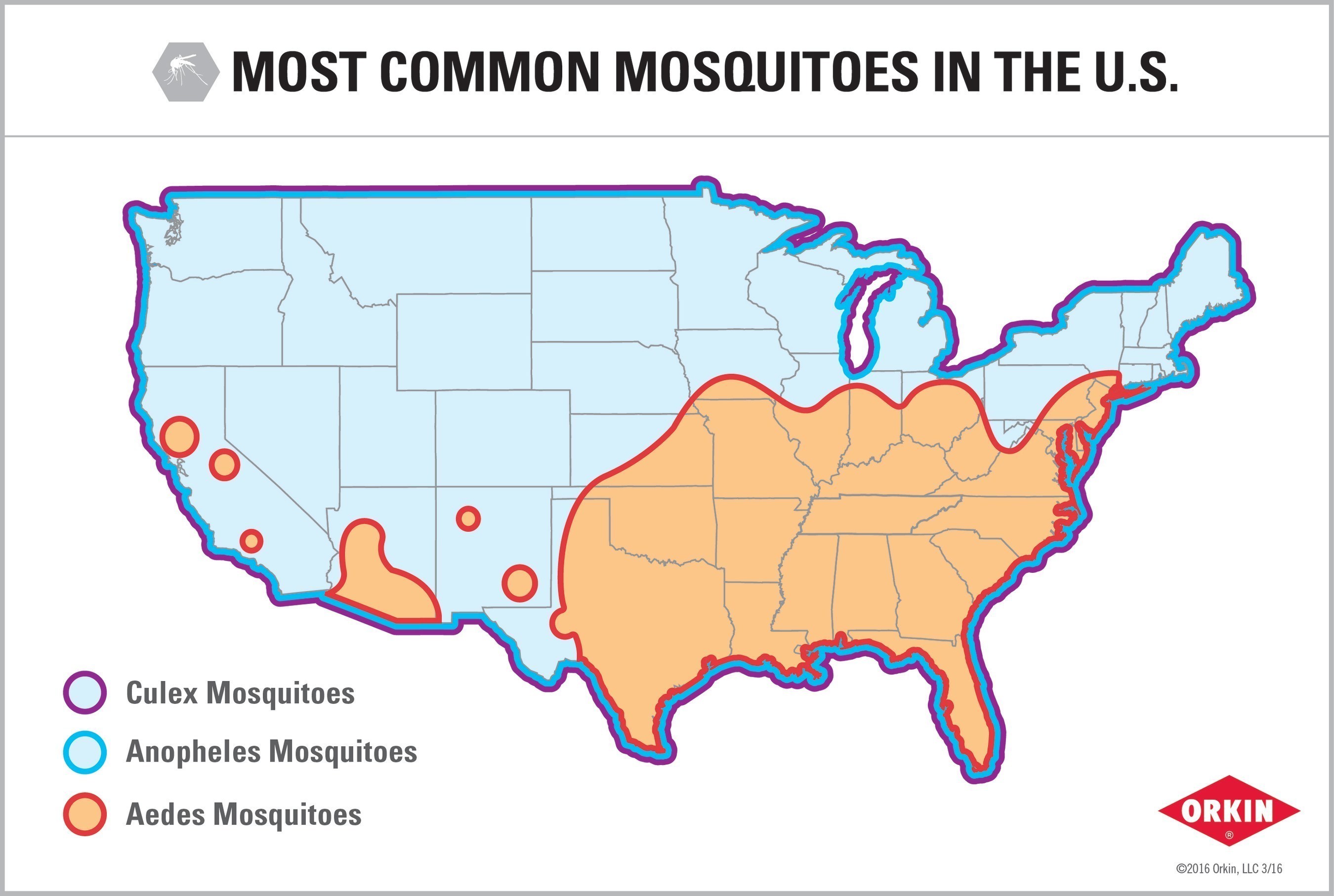 Mosquitoes are known carriers of several diseases, including Zika virus, Chikungunya virus and West Nile virus, so people across the United States - whether their city is on the list or not - need to take precaution to help prevent mosquito bites.