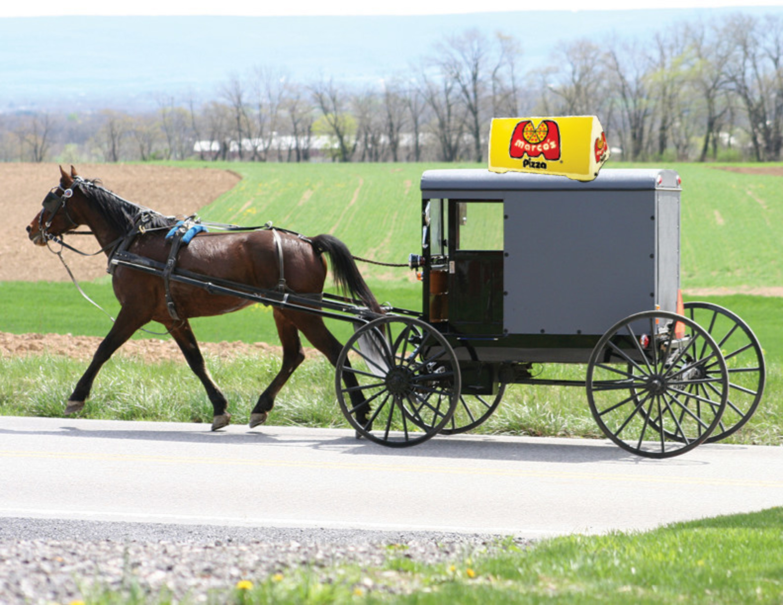 Marco's Pizza experiments with alternative delivery methods, like horse & buggy.  It's all part of its Fact or Fool social media promotion.  Go to Marco's Facebook page to cast your vote.