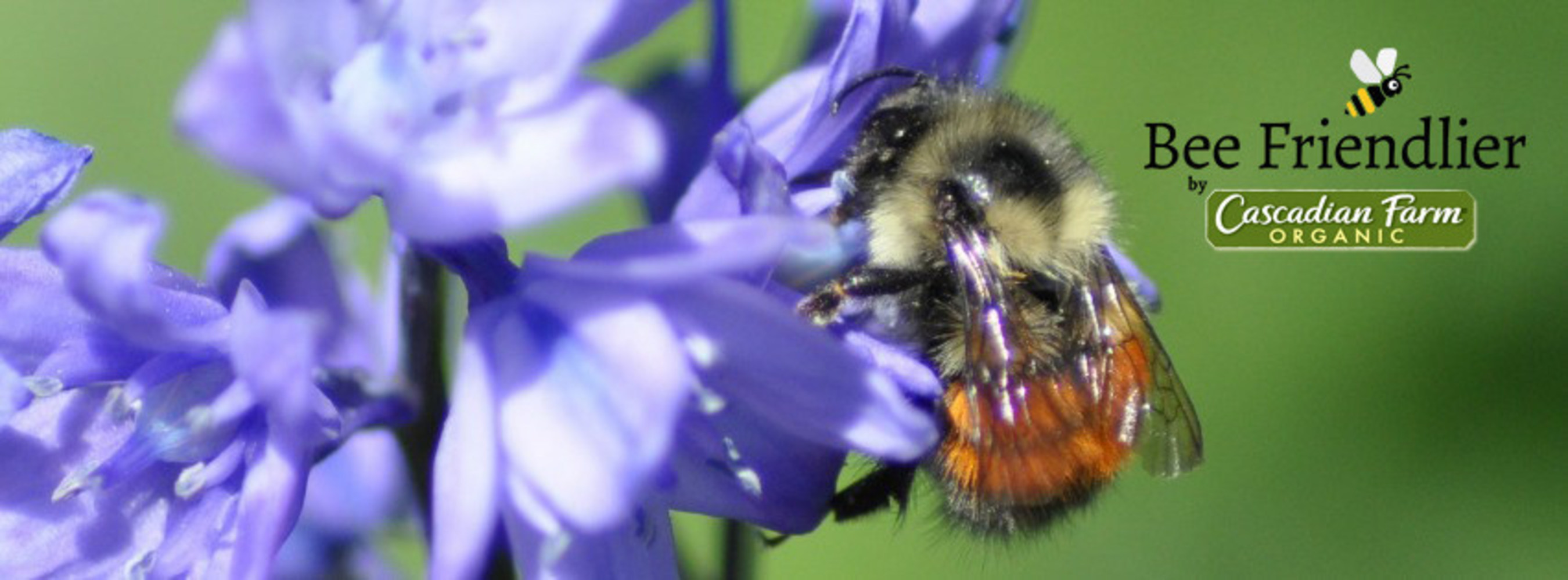 Cascadian Farm, a certified organic food brand, has committed to funding 100,000 acres of pollinator habitat planting on its supplier farms by 2020.