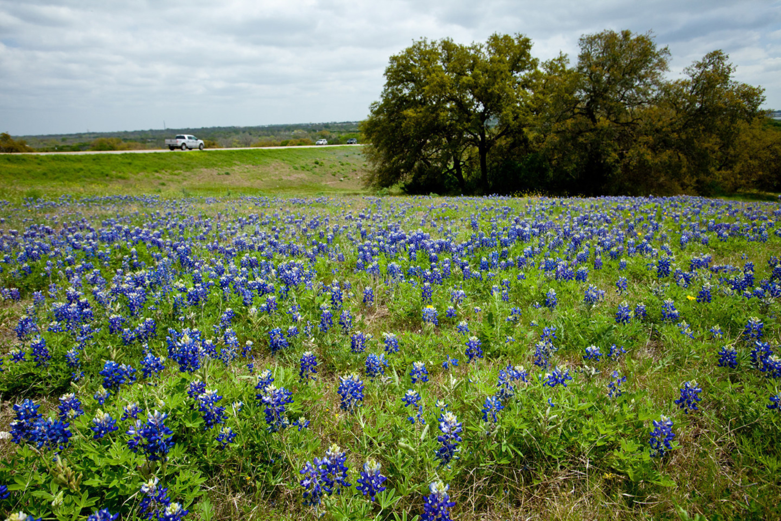 Bluebonnets herald spring in the Texas Hill Country. New Braunfels, Texas, the vacation destination for generations of Texans, offers a perfect BFF or "love of your life" getaway April-May - warm enough to enjoy water recreation in two beautiful rivers, the world's best water park and a great lake. The perfect time for a tour of the Texas Hill Country wineries or a craft beer tour through the spectacular vistas of wildflowers and migrating birds. Live music throughout with dance halls and...