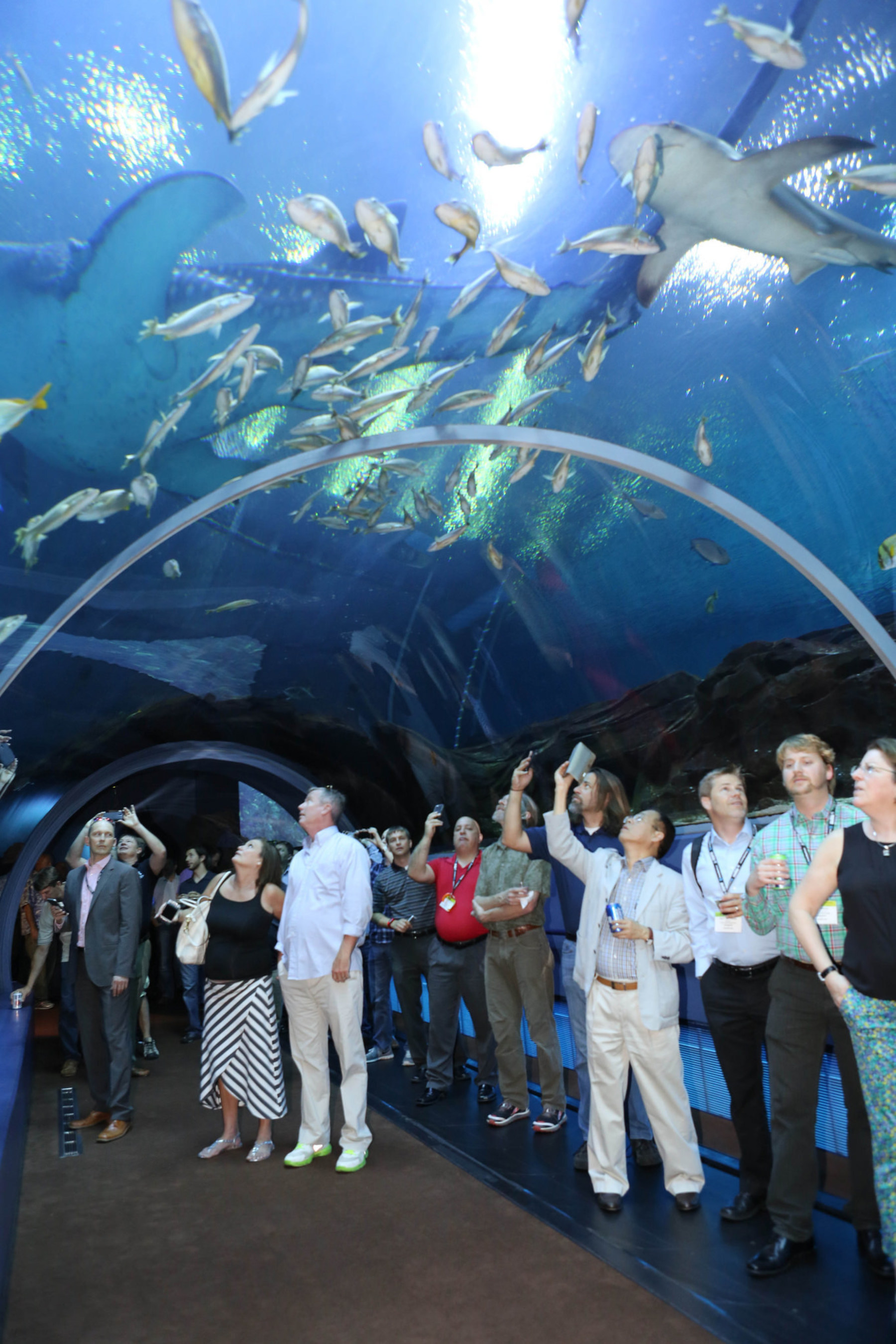 Each year, attendees of AUVSI's flagship event enjoy a blow-out networking event on Wednesday night. In 2015, Northrop Grumman sponsored the event at the Georgia Aquarium.