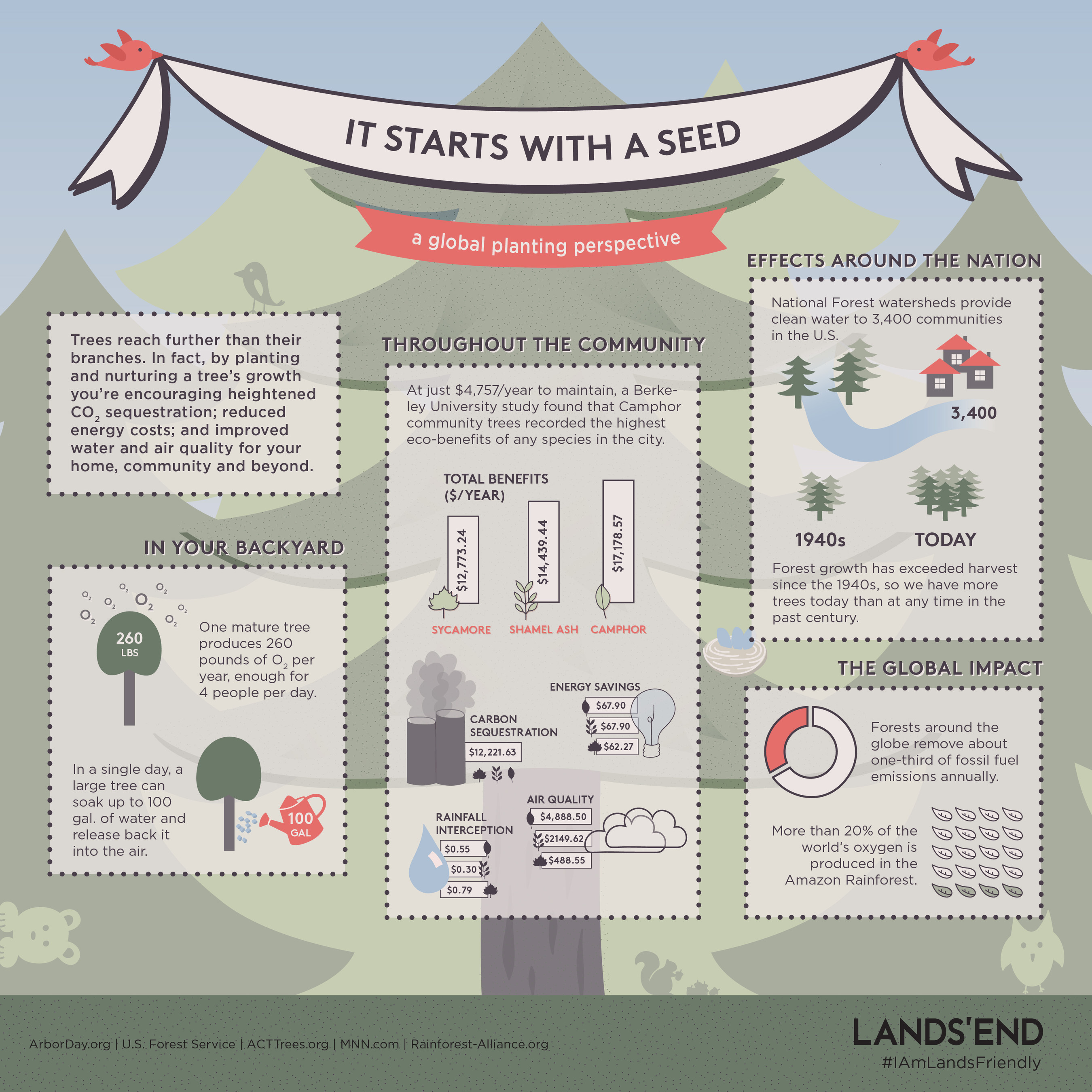 It starts with a seed: a global planting perspective brought to you by Lands' End. #IAmLandsFriendly
