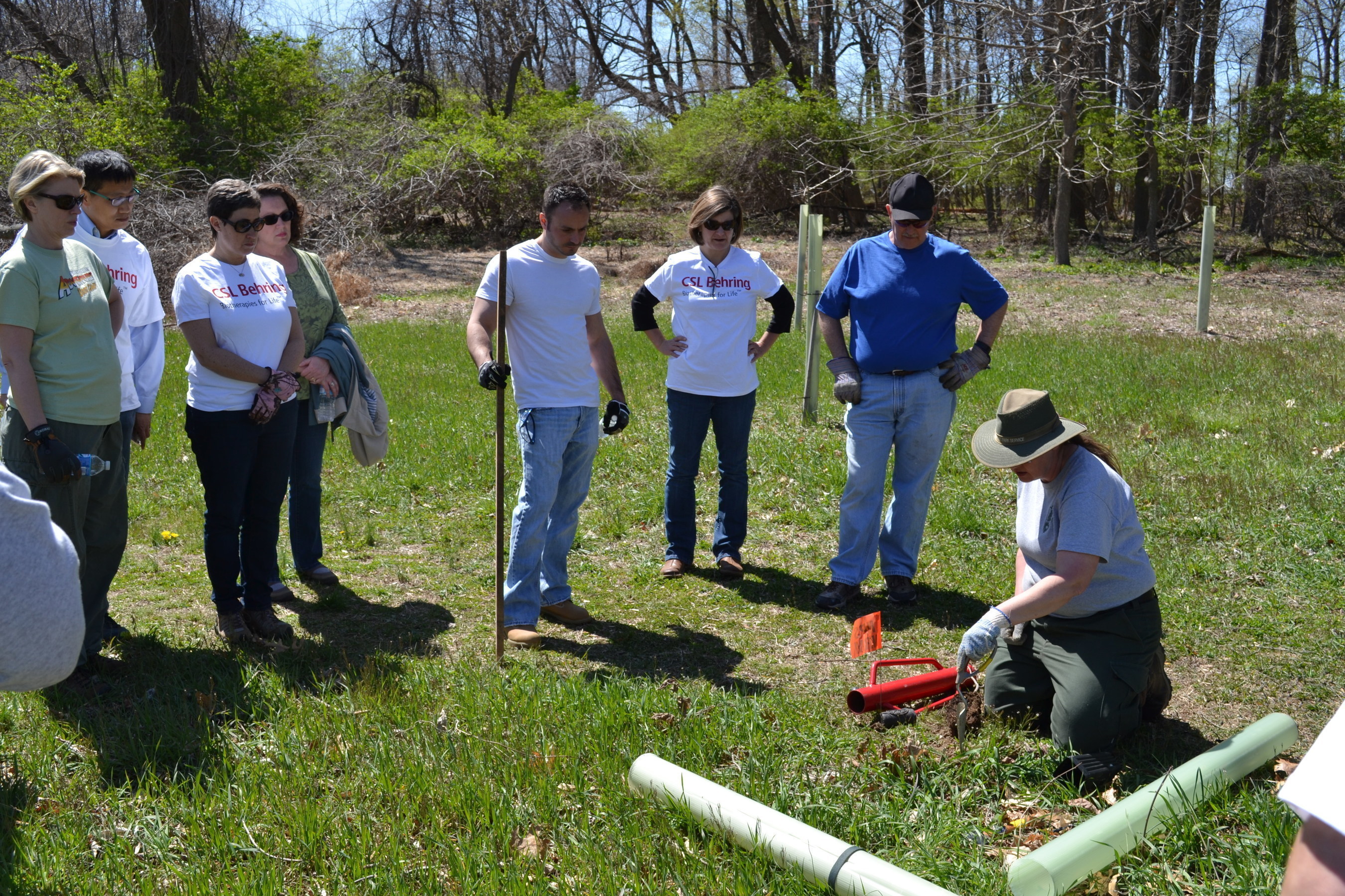 CSL Behring employees receive instructions from a Valley Forge National Park ranger before digging in and planting 100 saplings donated to the park by CSL Behring to mark the company's 100th Anniversary. The trees included five different species native to the area.