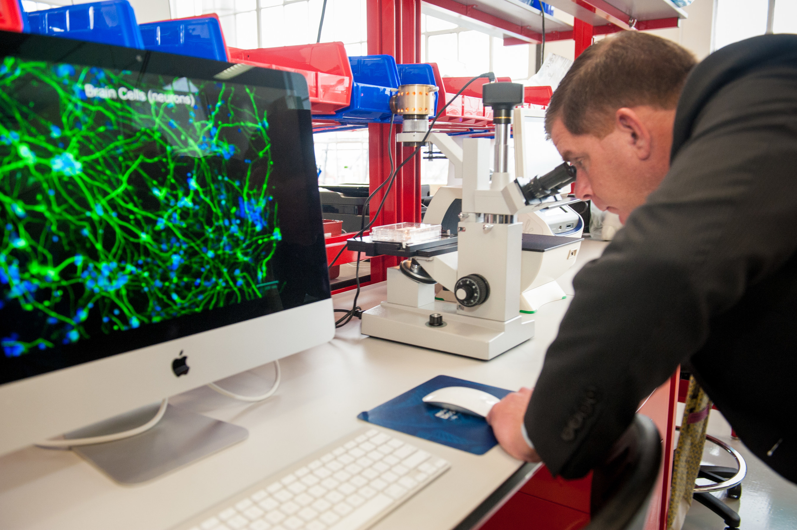 Boston Mayor Martin J. Walsh viewed beating heart cells created with induced pluripotent stem cell technology during a tour of ORIG3N's new regenerative medicine lab.