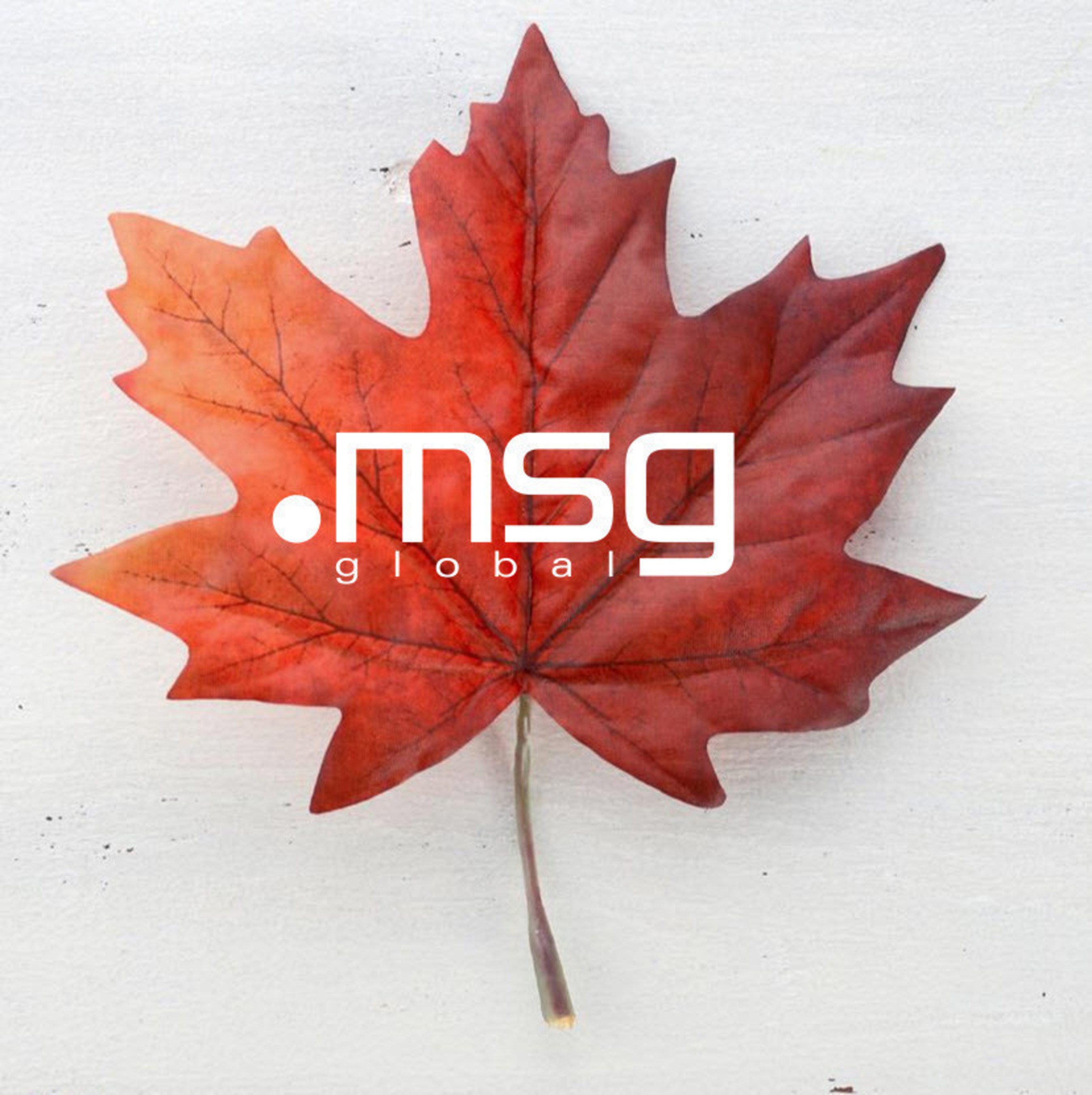 Announcing msg's Toronto office and Innovation Lab.