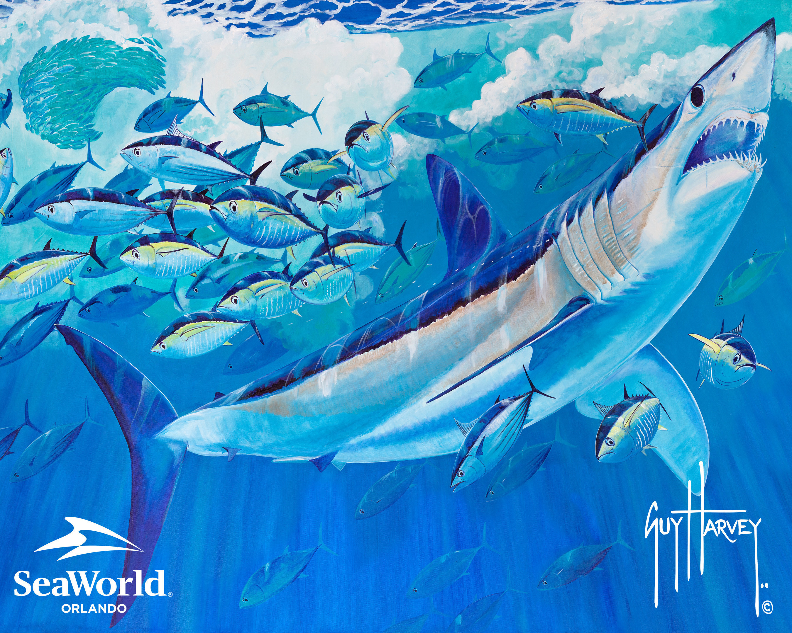 SeaWorld Parks & Entertainment (SEA) and world-renowned marine artist and conservationist Guy Harvey today announced a new partnership focused on ocean health and the plight of sharks in the wild.  The two organizations will partner to raise awareness of these important issues, and collaborate on science and research to increase understanding of how to better protect these critical predators and their habitats.