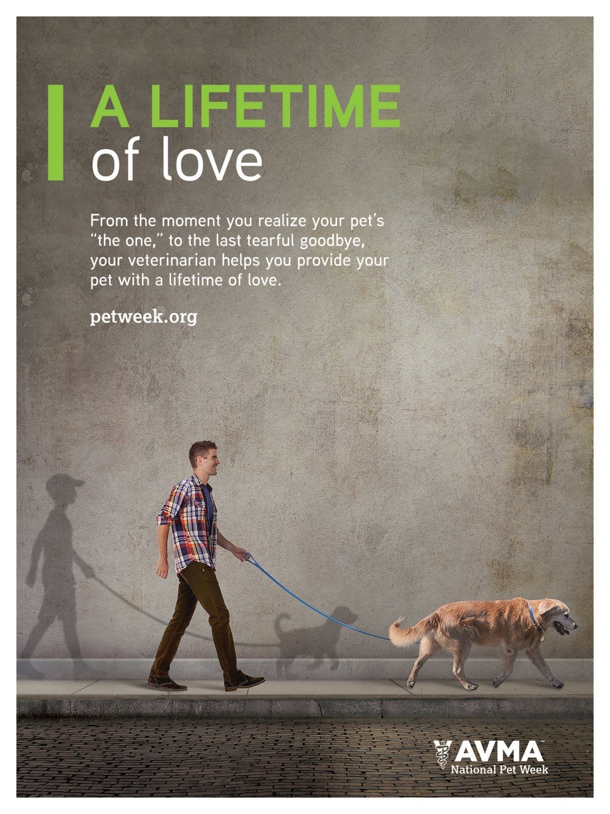 National Pet Week, May 1-7 celebrates veterinarians and clients partnering to provide pets with A Lifetime of Love