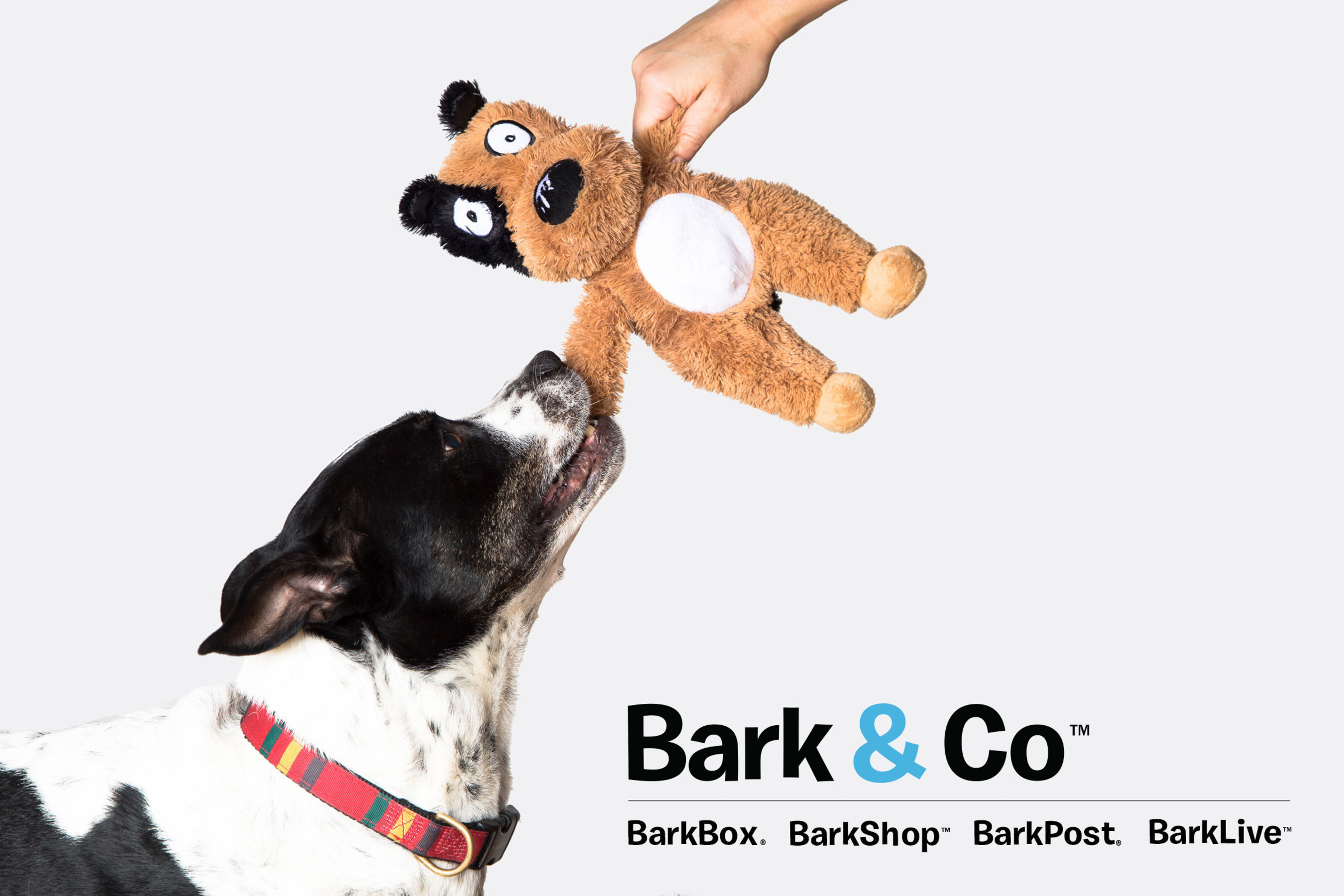 Bark & Co, the company behind BarkBox, BarkShop, BarkPost and BarkLive, announced $60 million in new funding to grow and expand its offerings for dogs and their people.