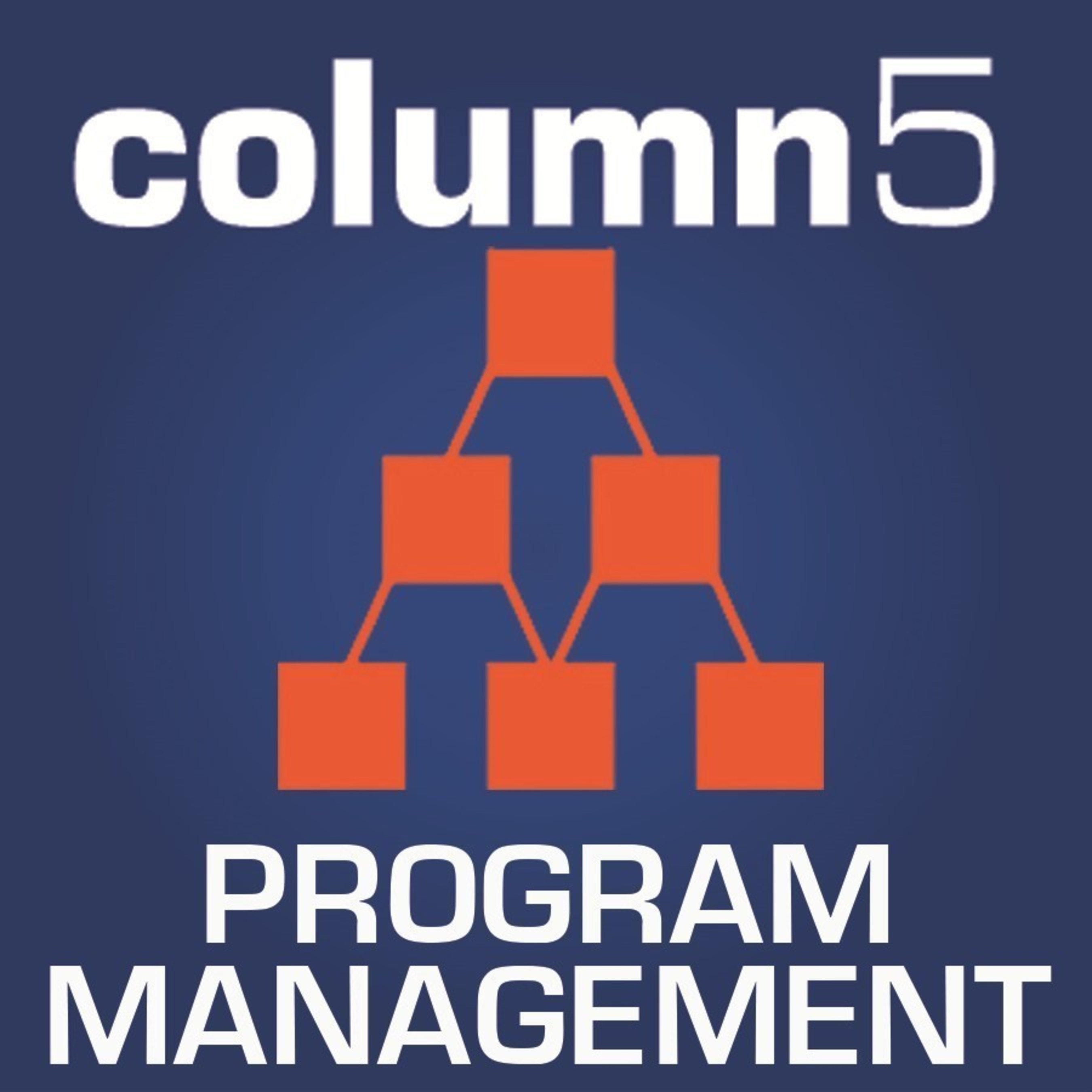 Column5 Consulting, an SAP partner, today announced that it has received accreditation for a global partner quality program by SAP SE for the 5th consecutive year.