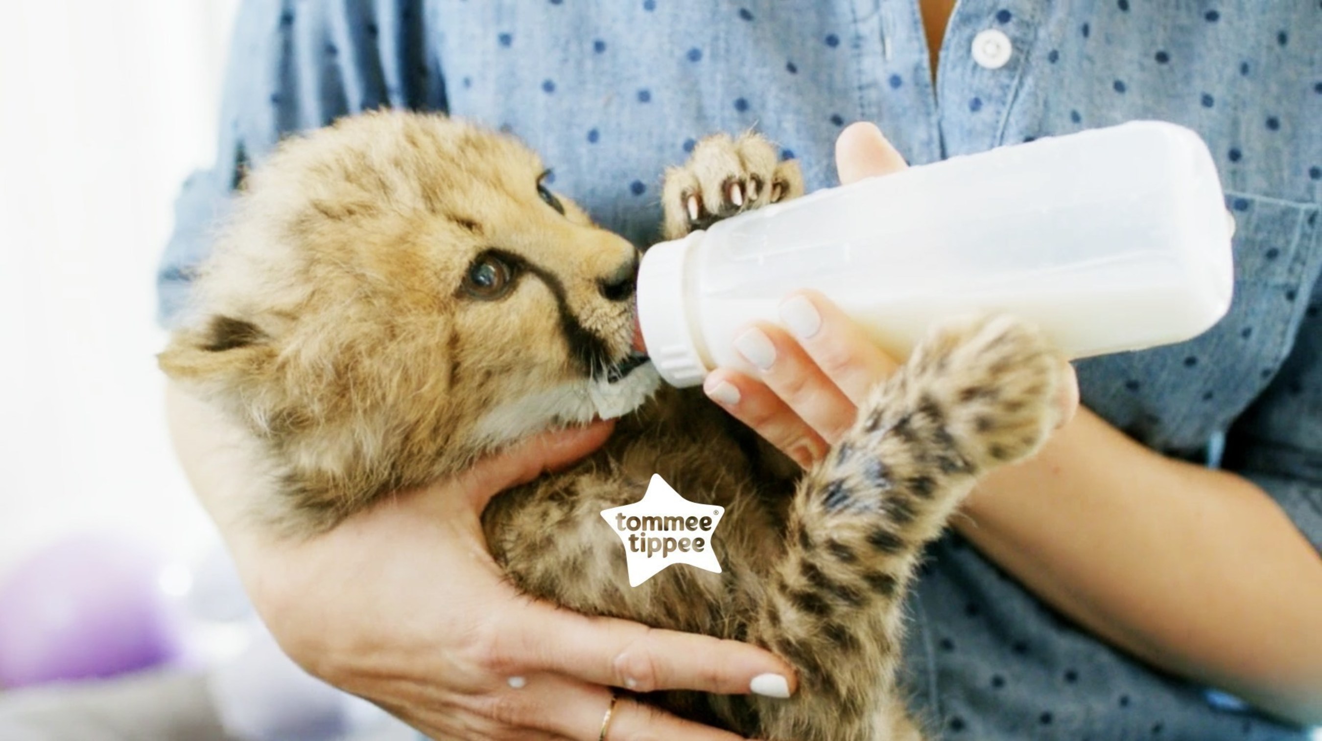 TOMMEE TIPPEE(R) HELPS PARENTS DONATE UNWANTED BABY BOTTLES TO ORPHANED NEWBORN ANIMALS