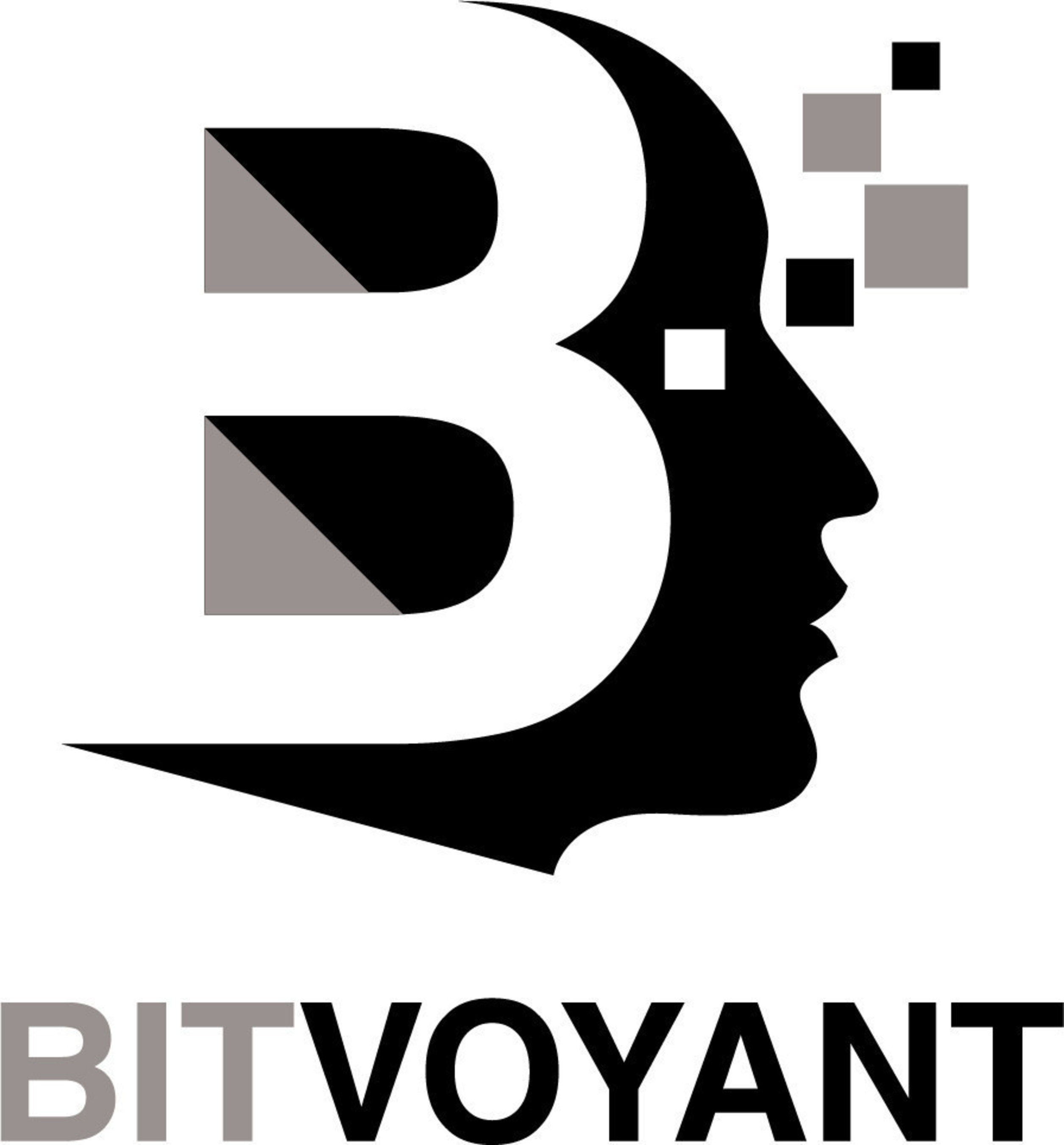 BitVoyant is a provider of cyber-derived intelligence and proactive defense solutions