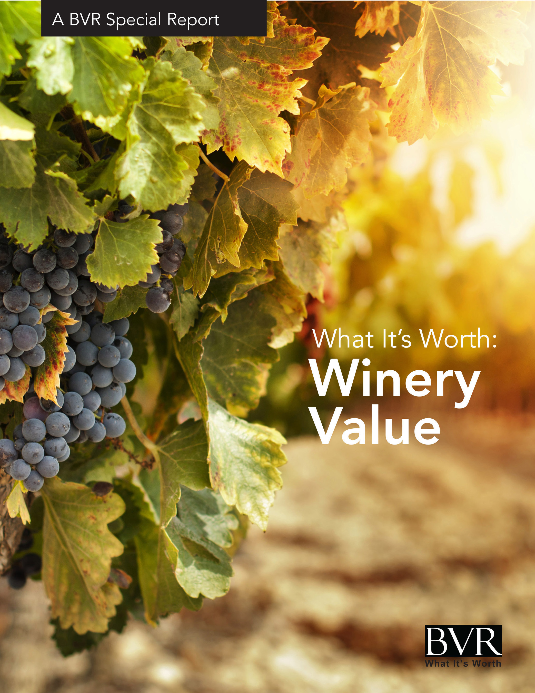 Just published - What It's Worth: Winery Value
