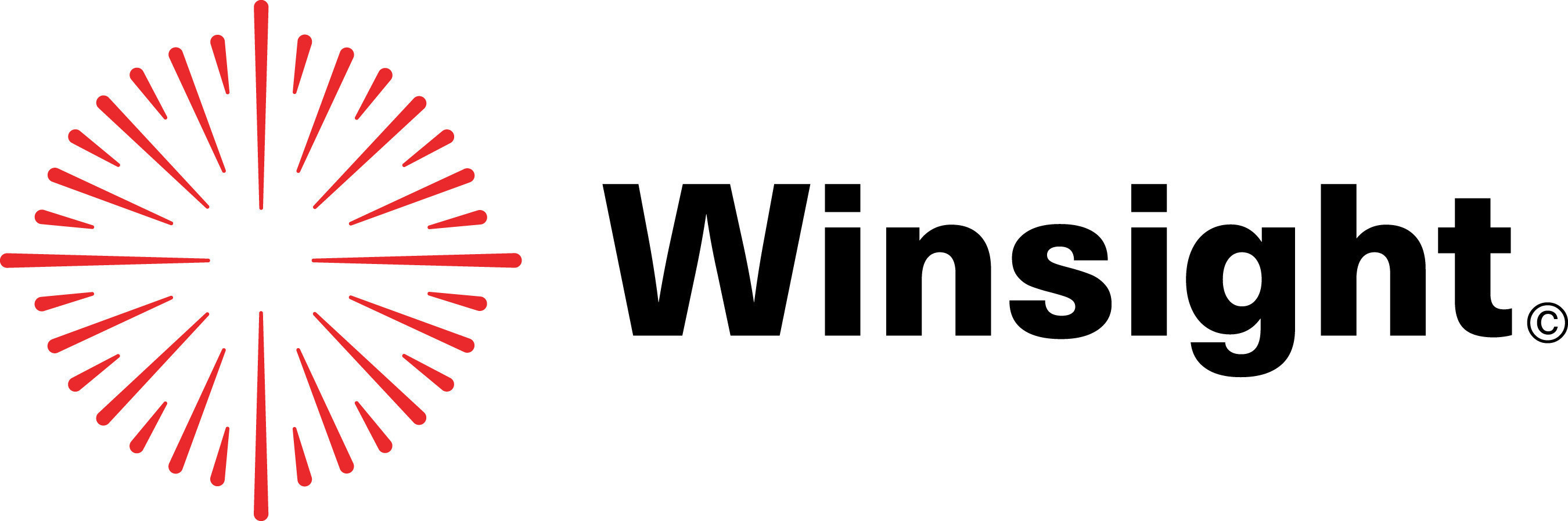 Winsight logo